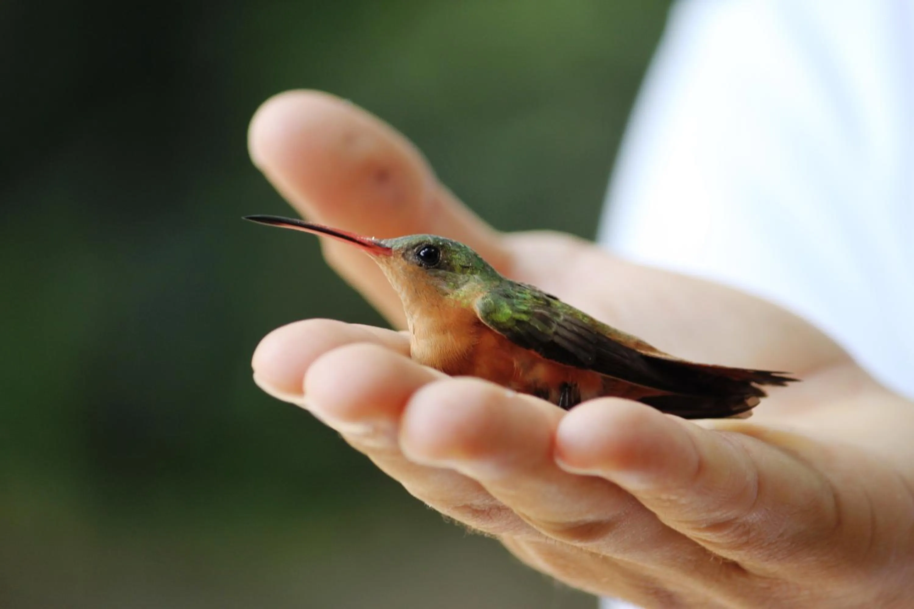 Other in Hotel Robledal