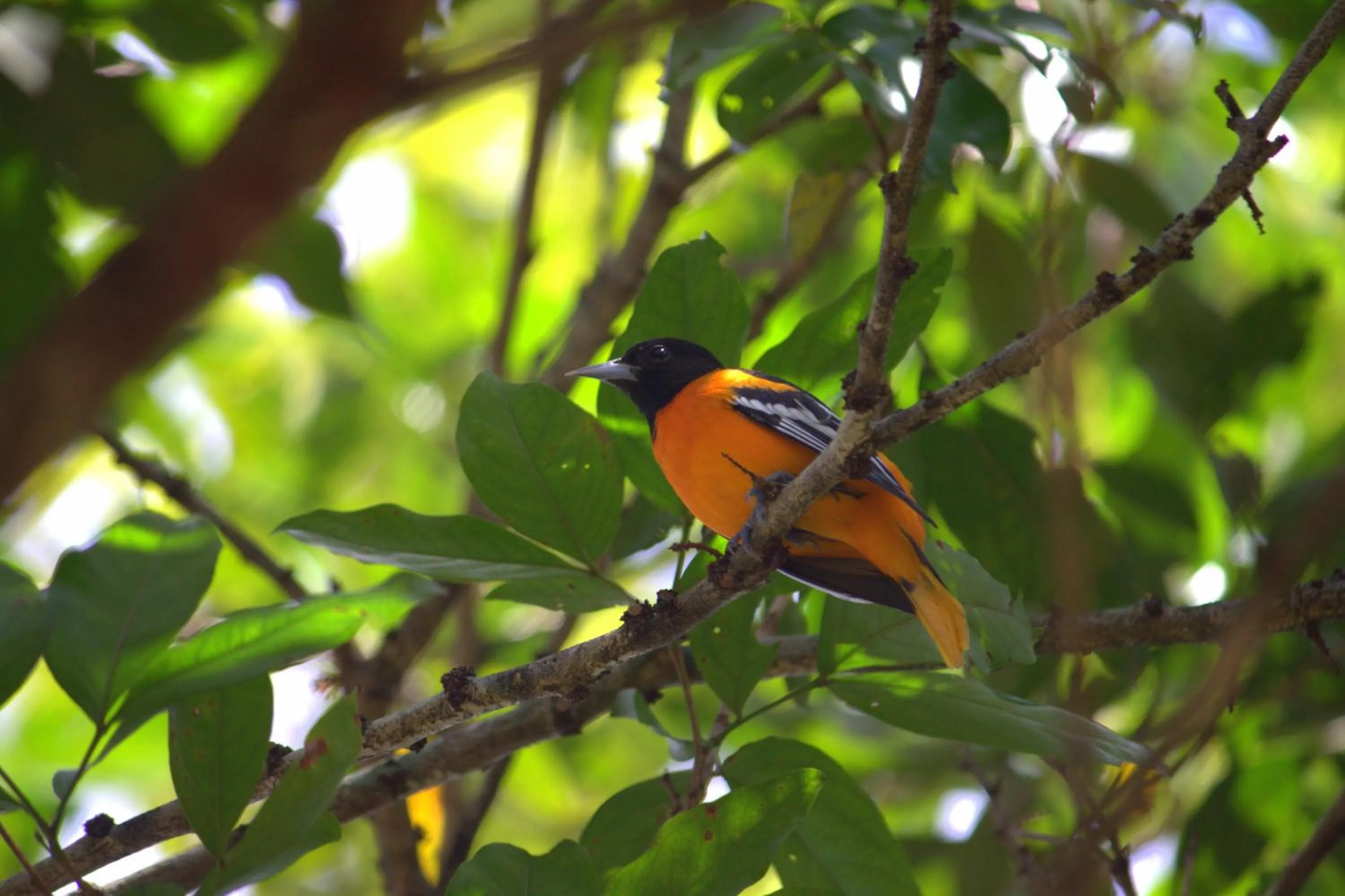 Bird's eye view in Hotel Robledal