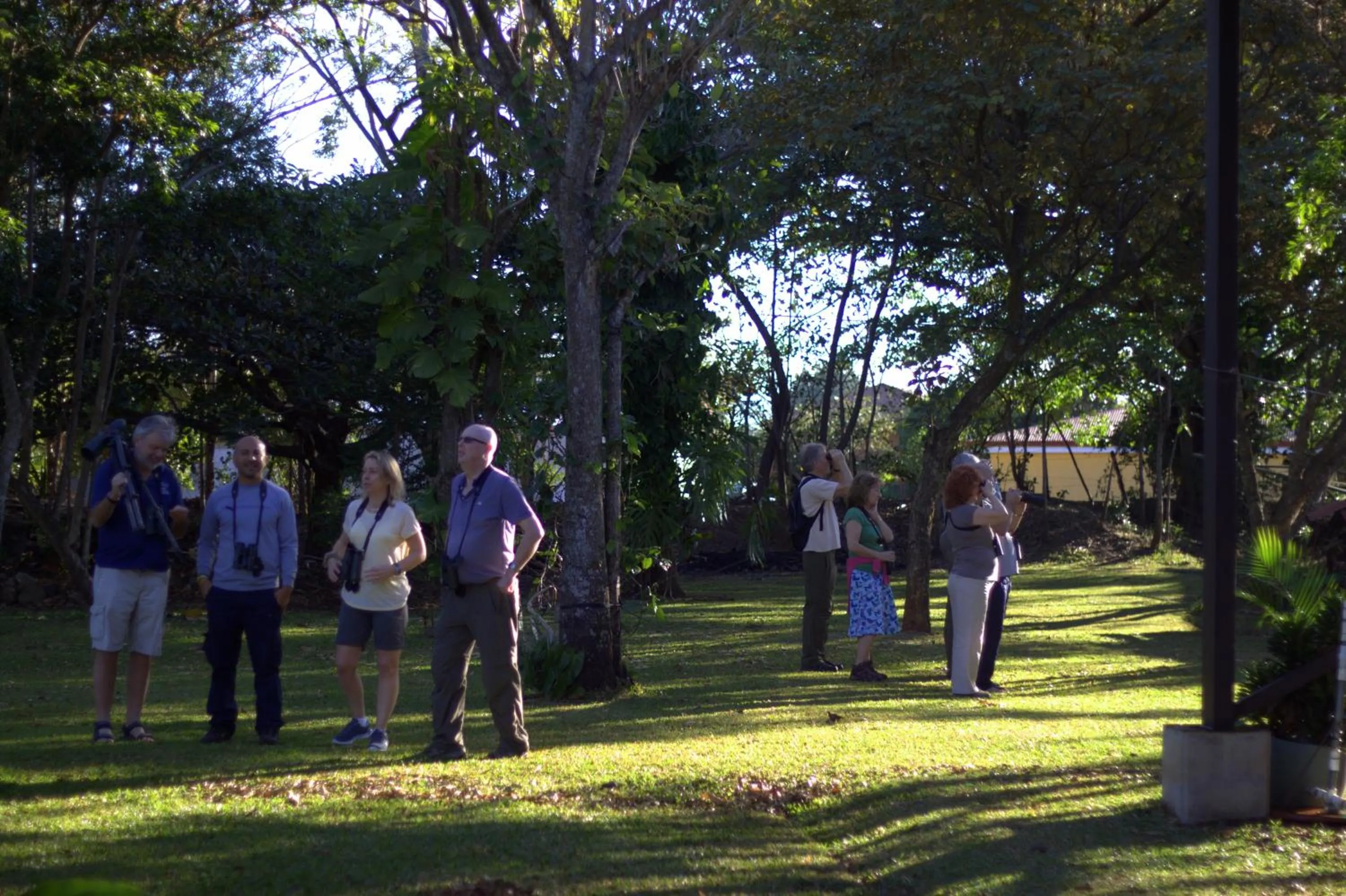 Bird's eye view in Hotel Robledal