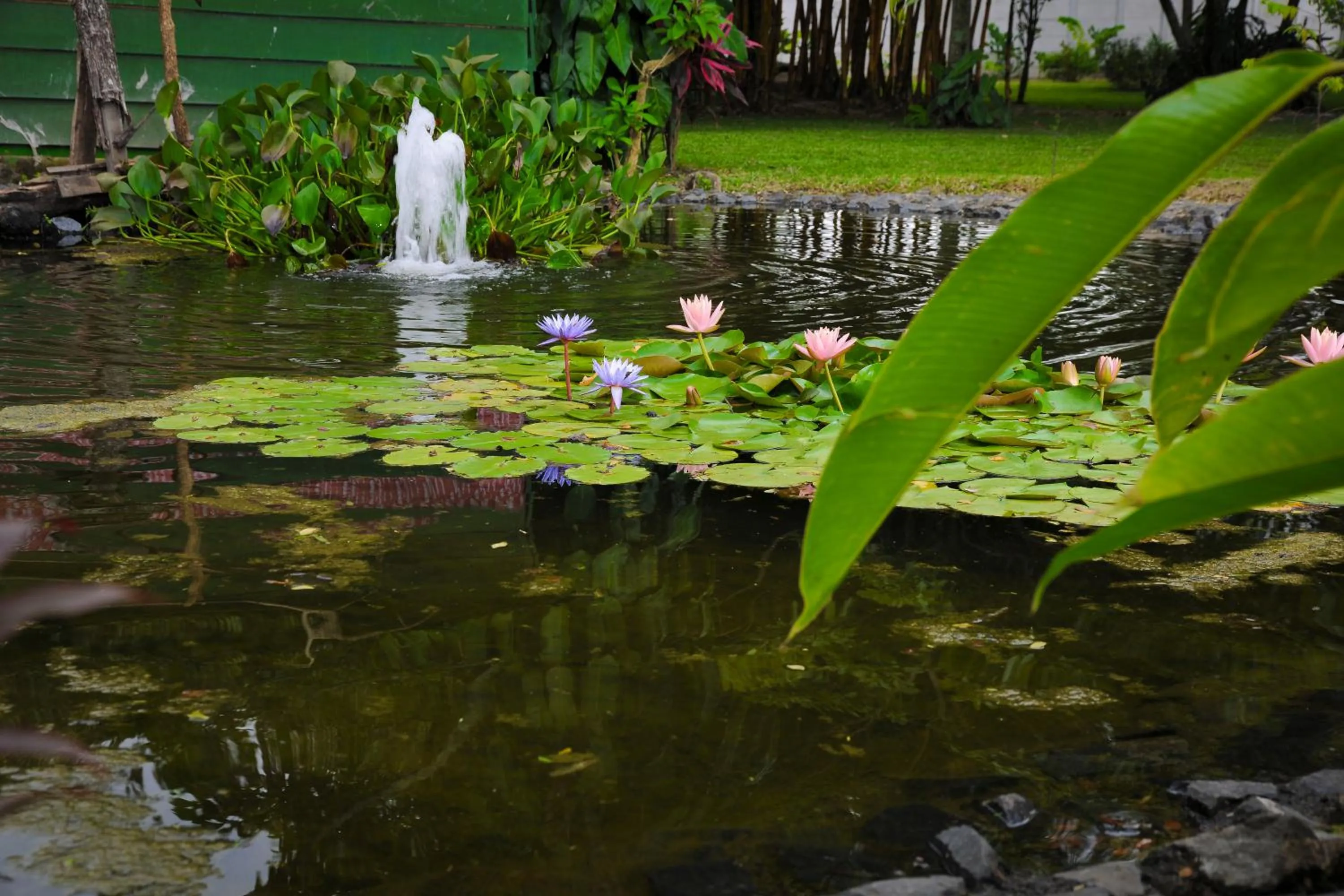 Garden in Hotel Robledal