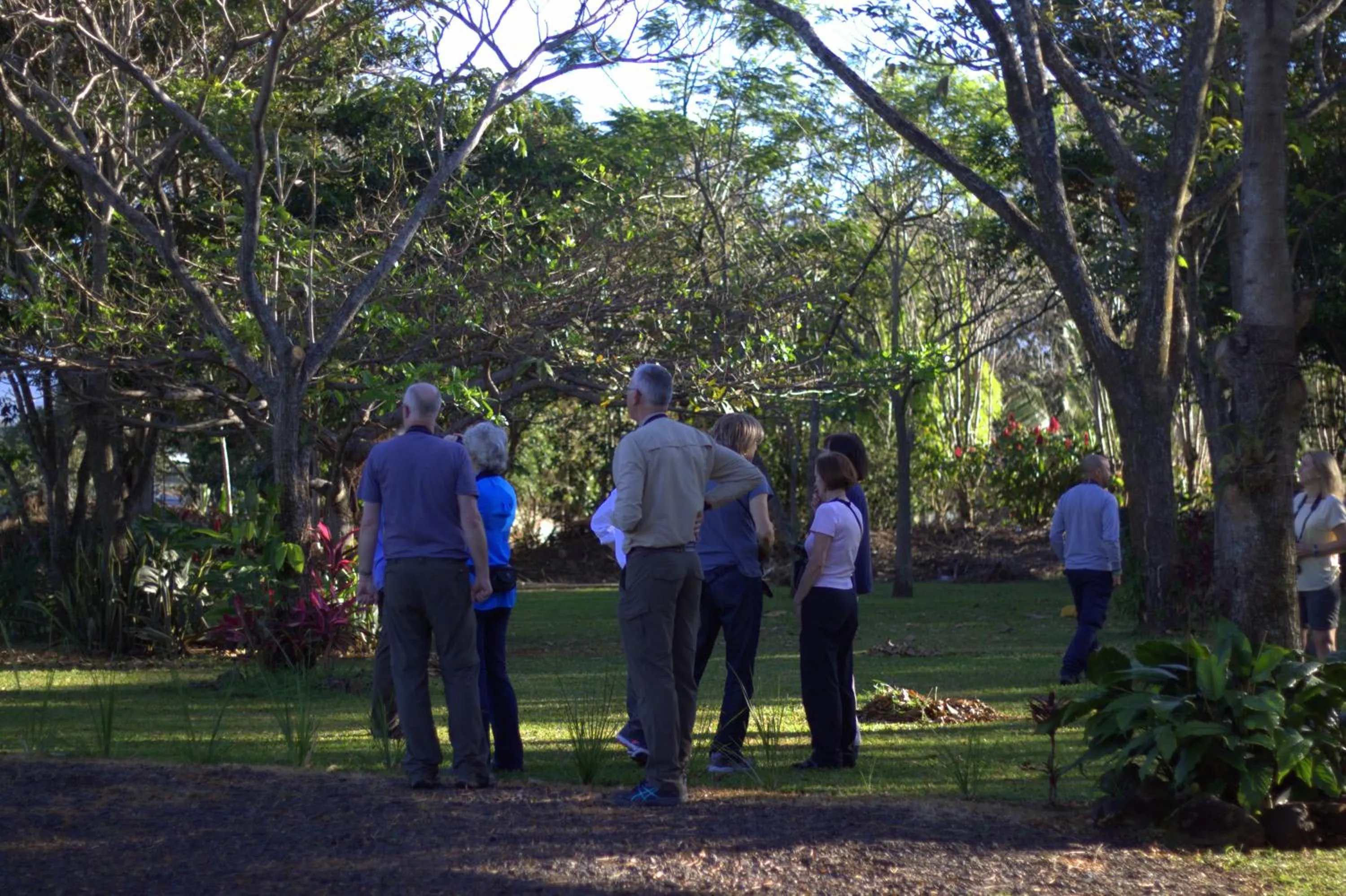 Bird's eye view in Hotel Robledal