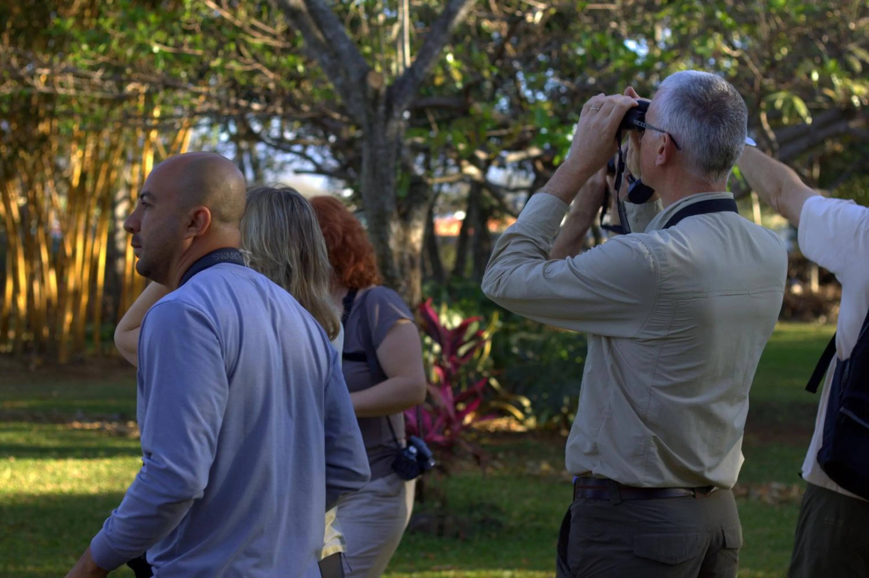 Bird's eye view in Hotel Robledal
