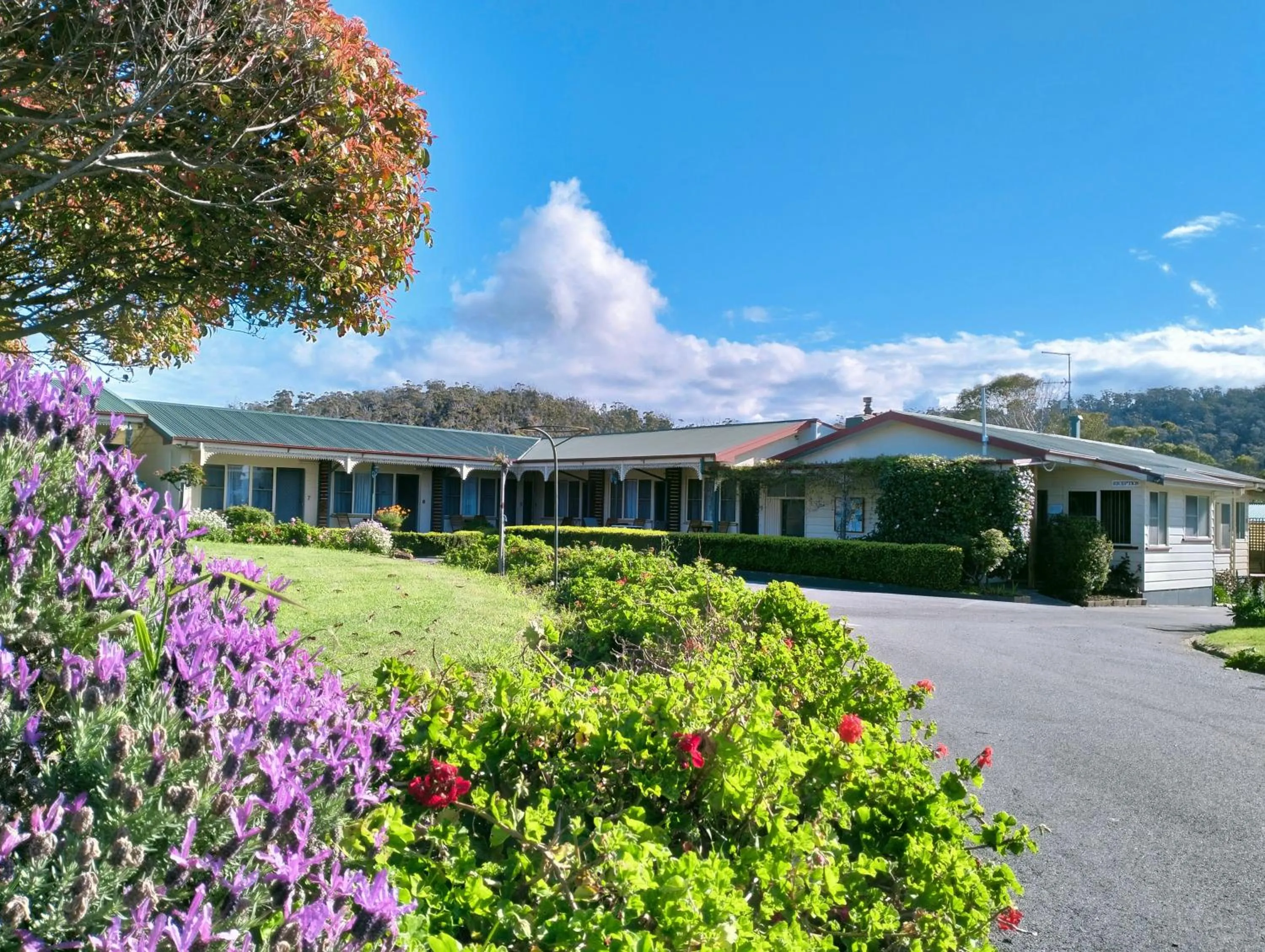 Wintersun Gardens Motel