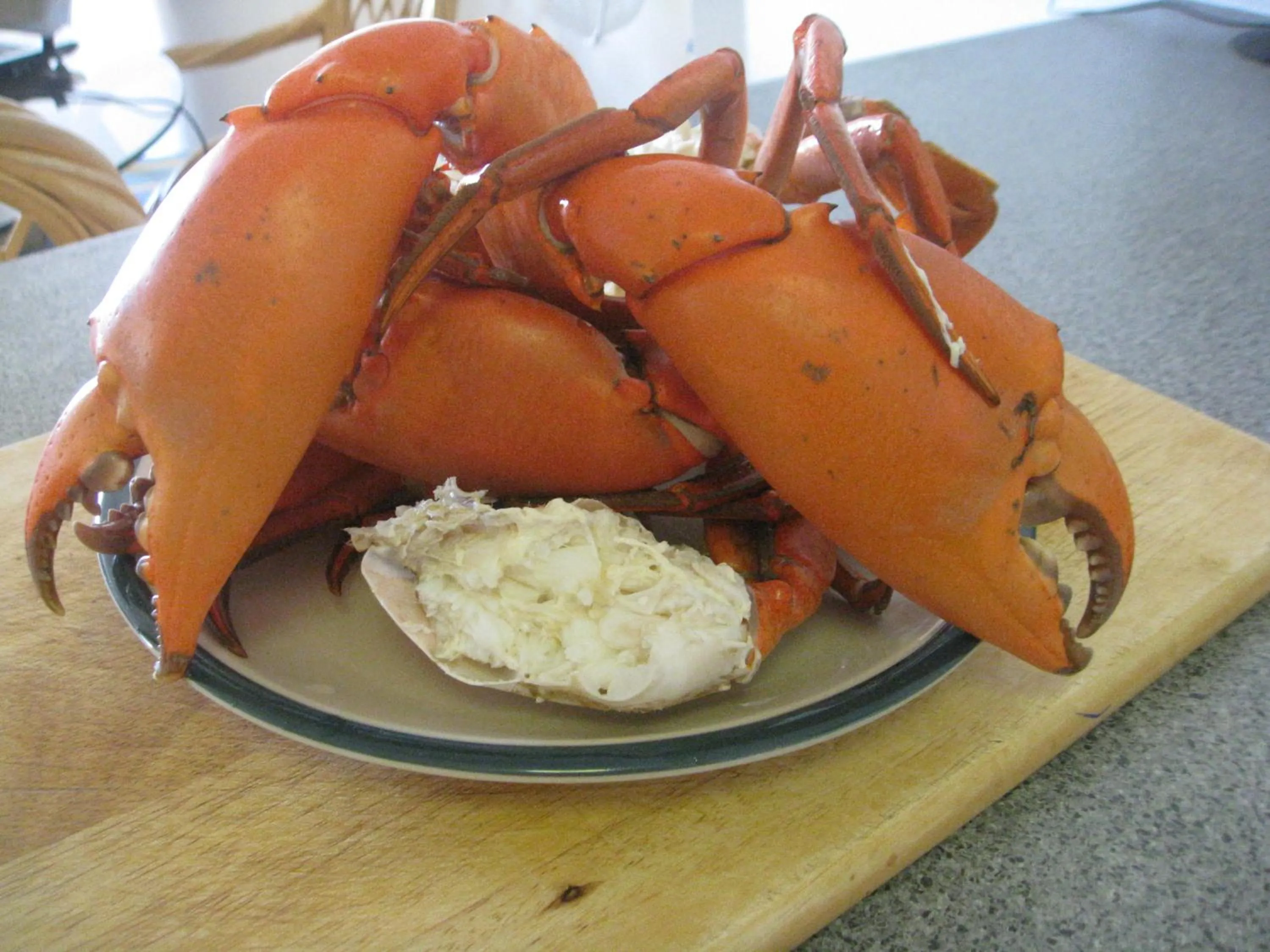 Food close-up in Trafalgar Towers