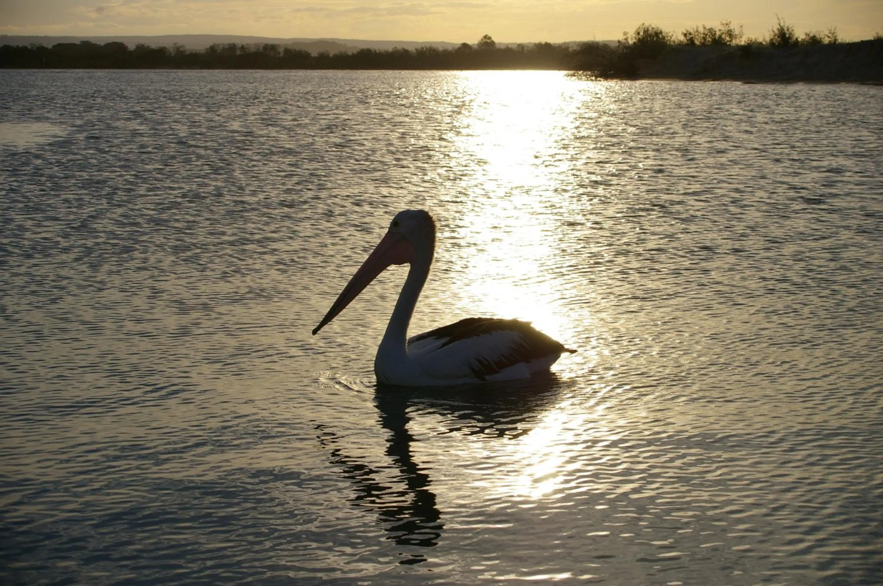Natural landscape in Trafalgar Towers