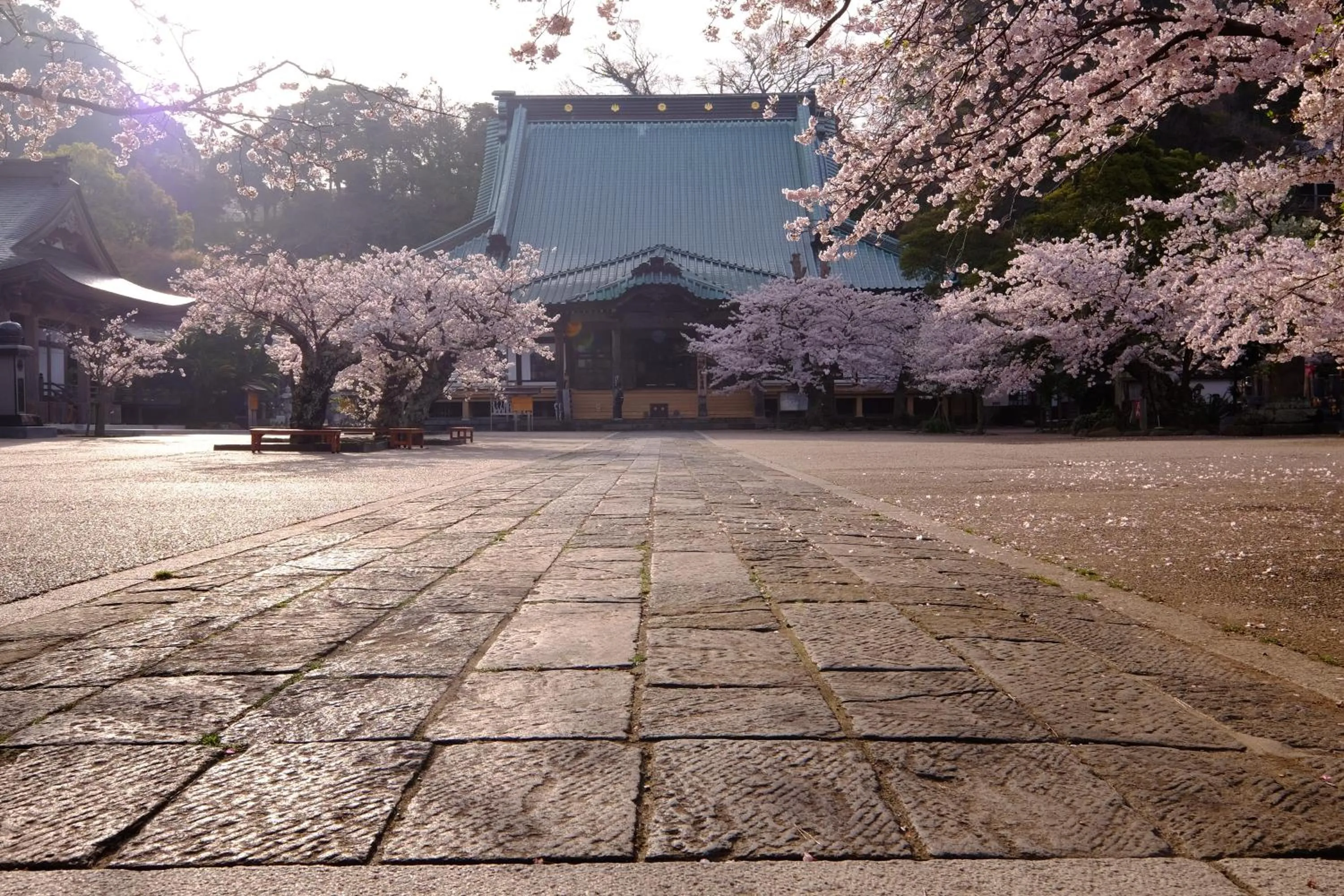 Spring in Kamakura Park Hotel