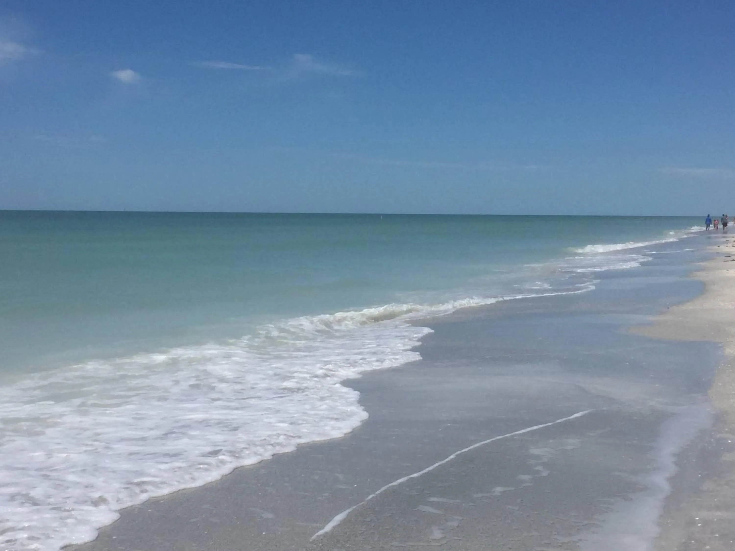 Beach in Intercoastal Beach Suite
