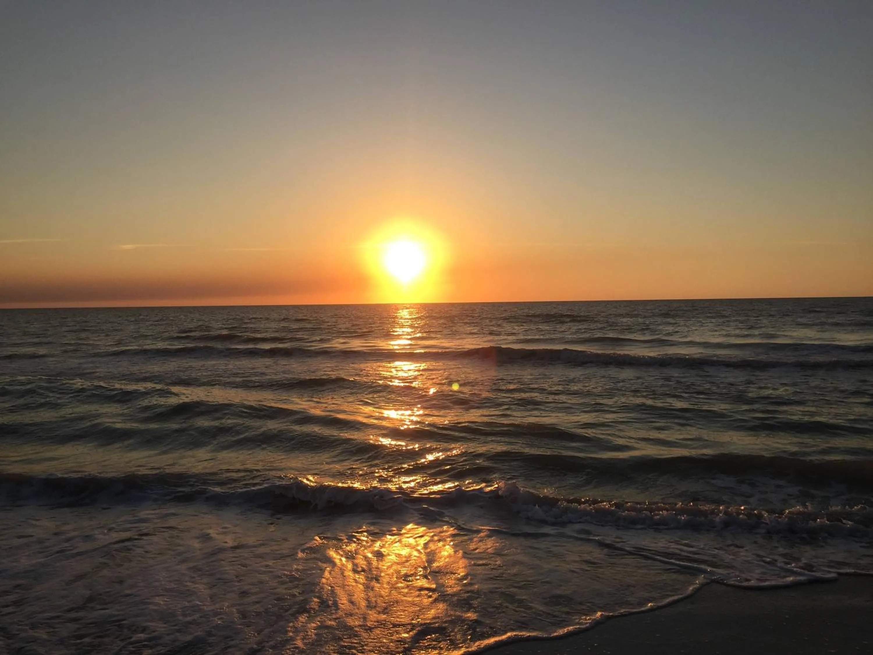 Beach in Intercoastal Beach Suite