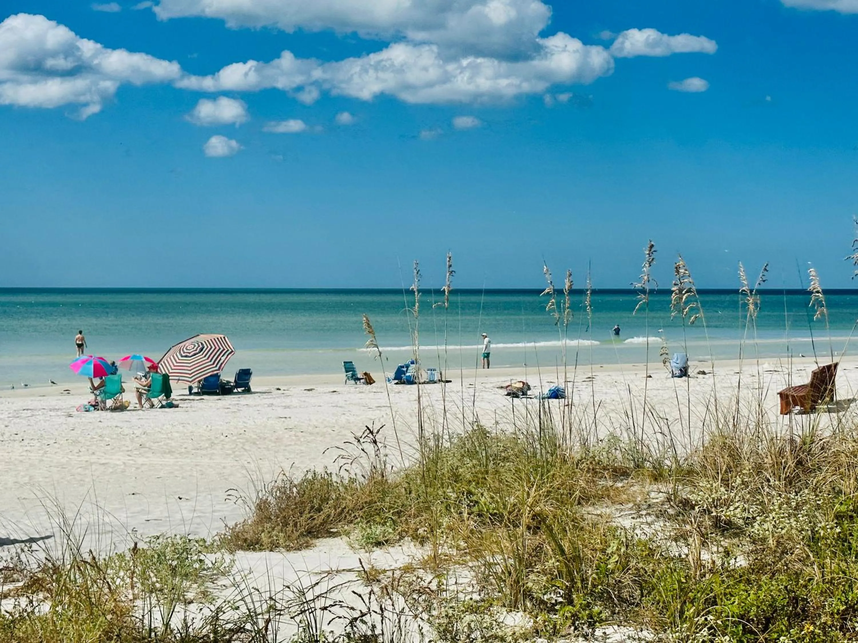 Natural landscape in Intercoastal Beach Suite