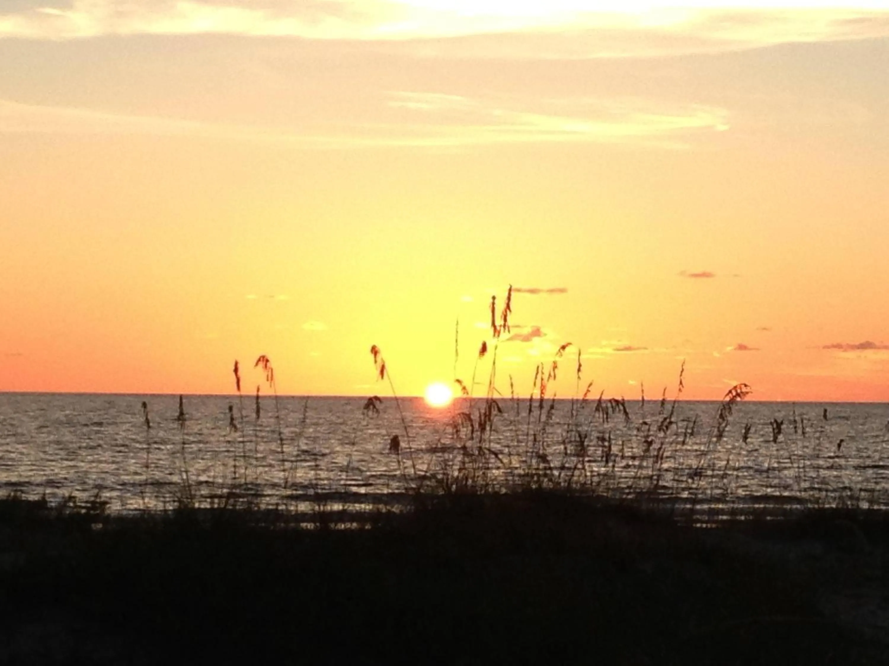 Beach in Intercoastal Beach Suite