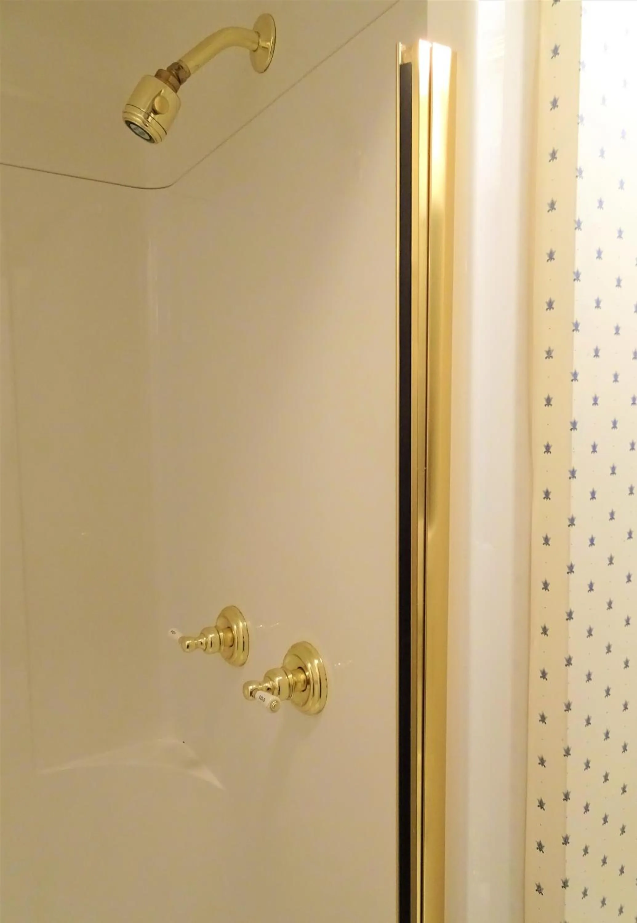 Shower in Grand Colonial Bed and Breakfast