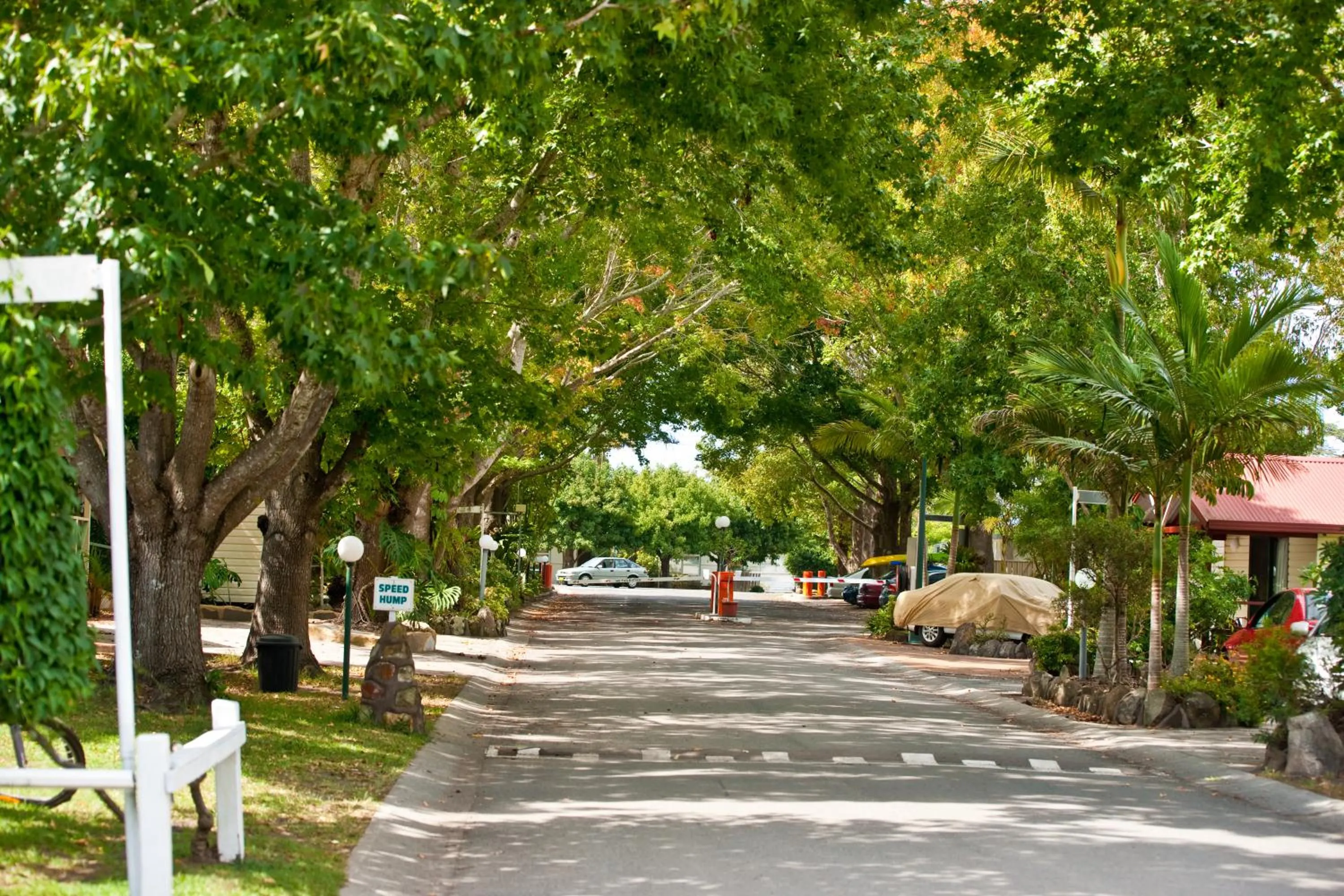 Spring in Lani's Holiday Island