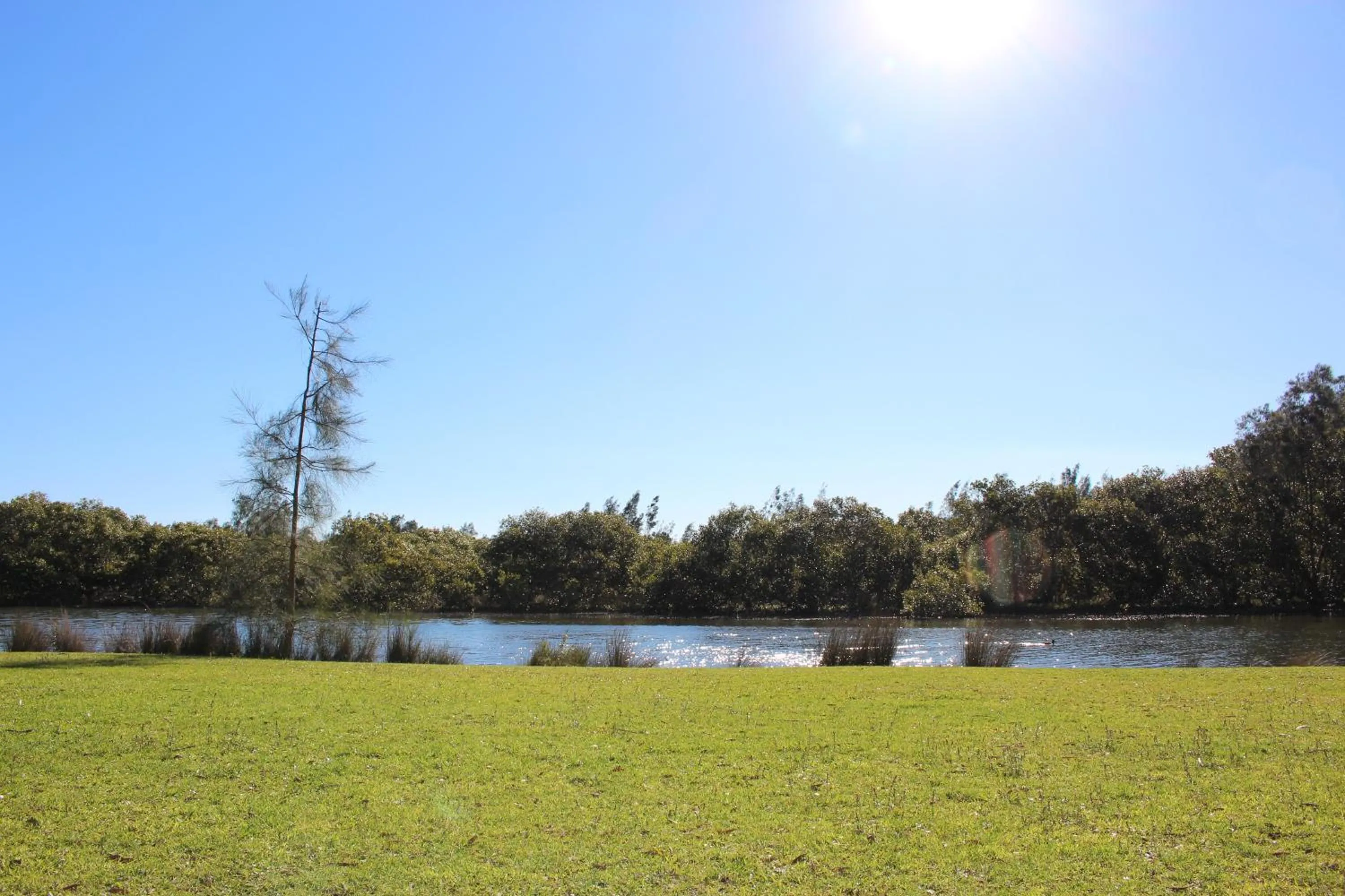 Property building in Lani's Holiday Island