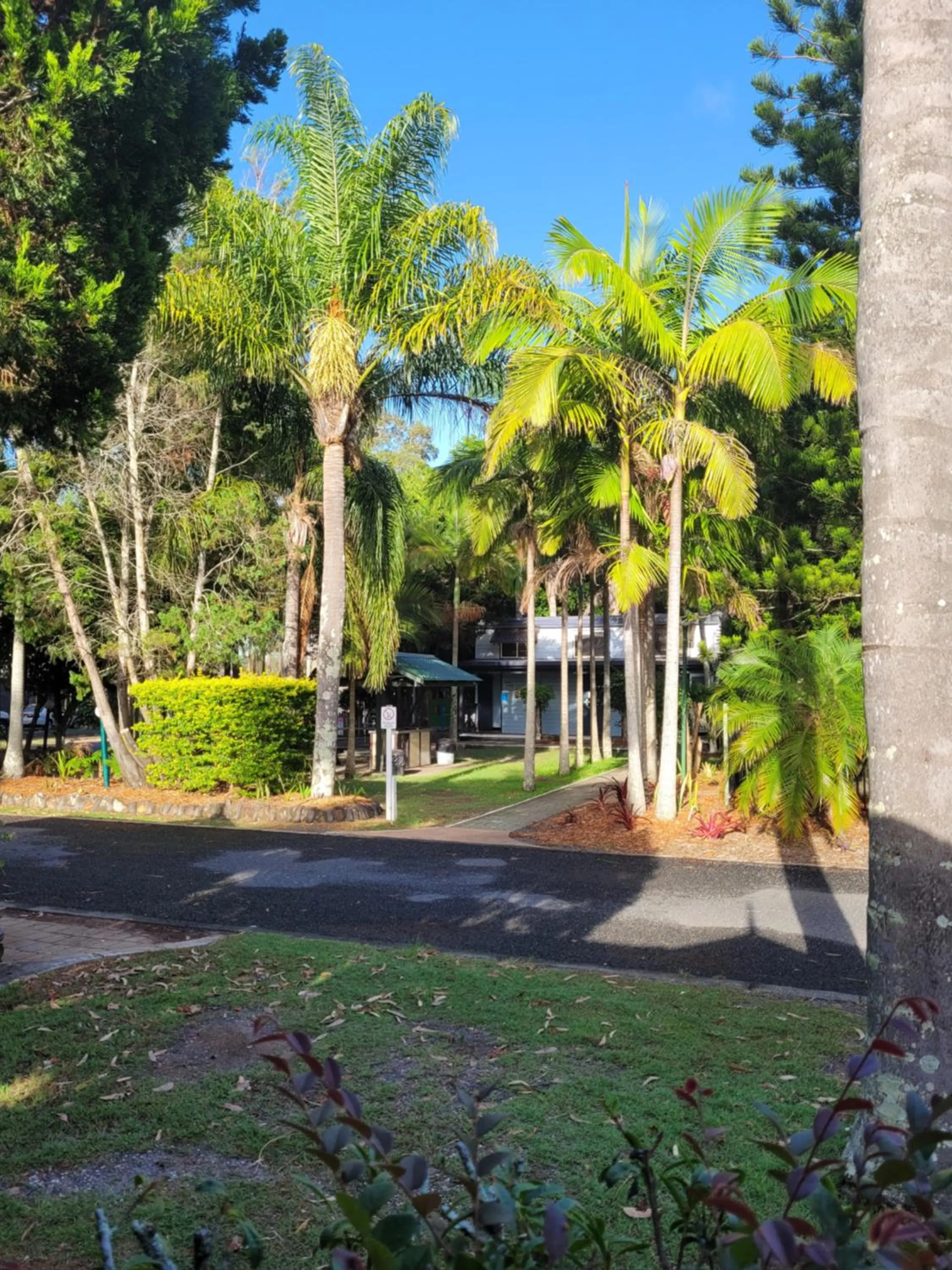 Garden in Lani's Holiday Island