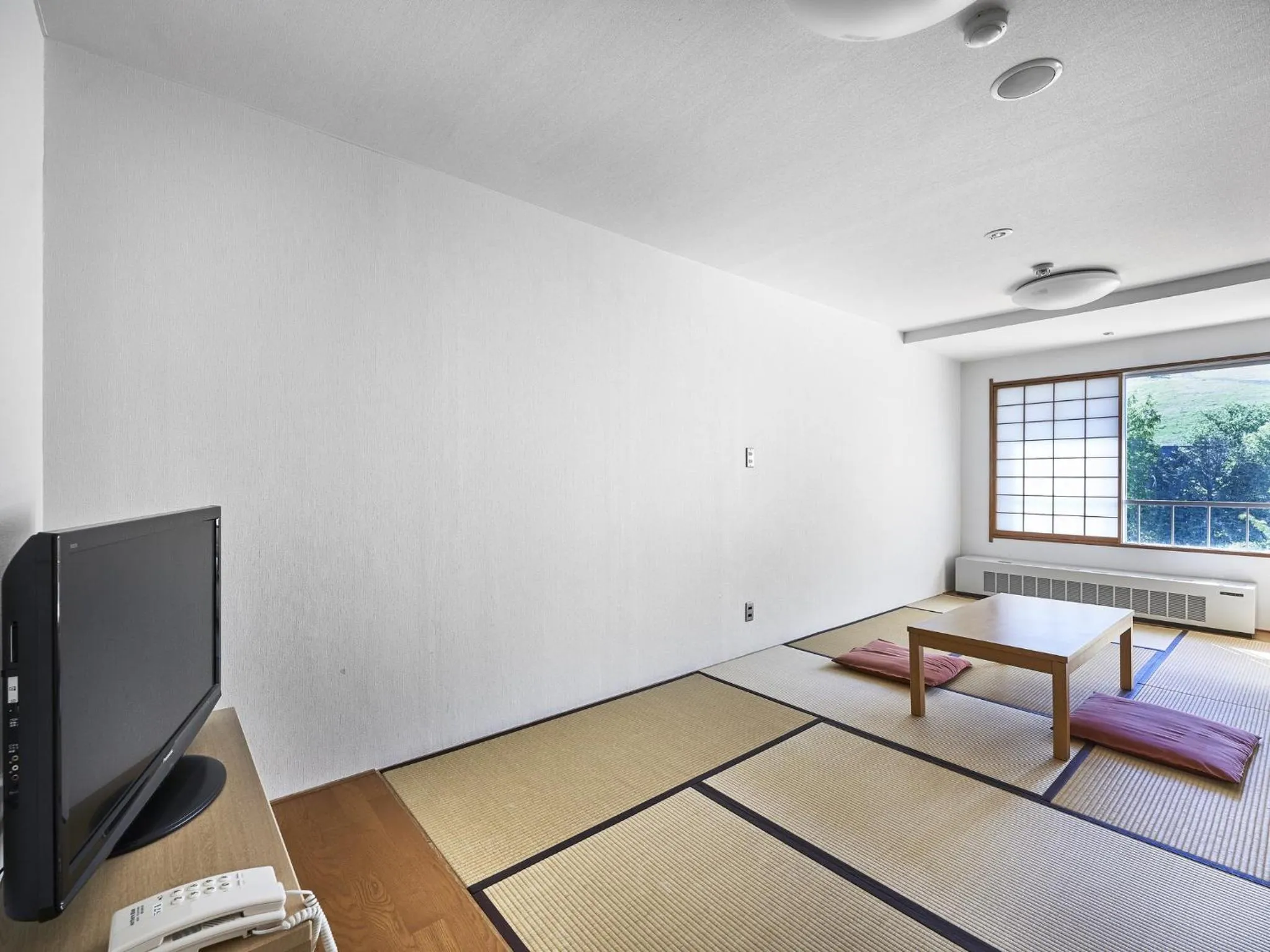 Living room in Hakuba Alps Hotel