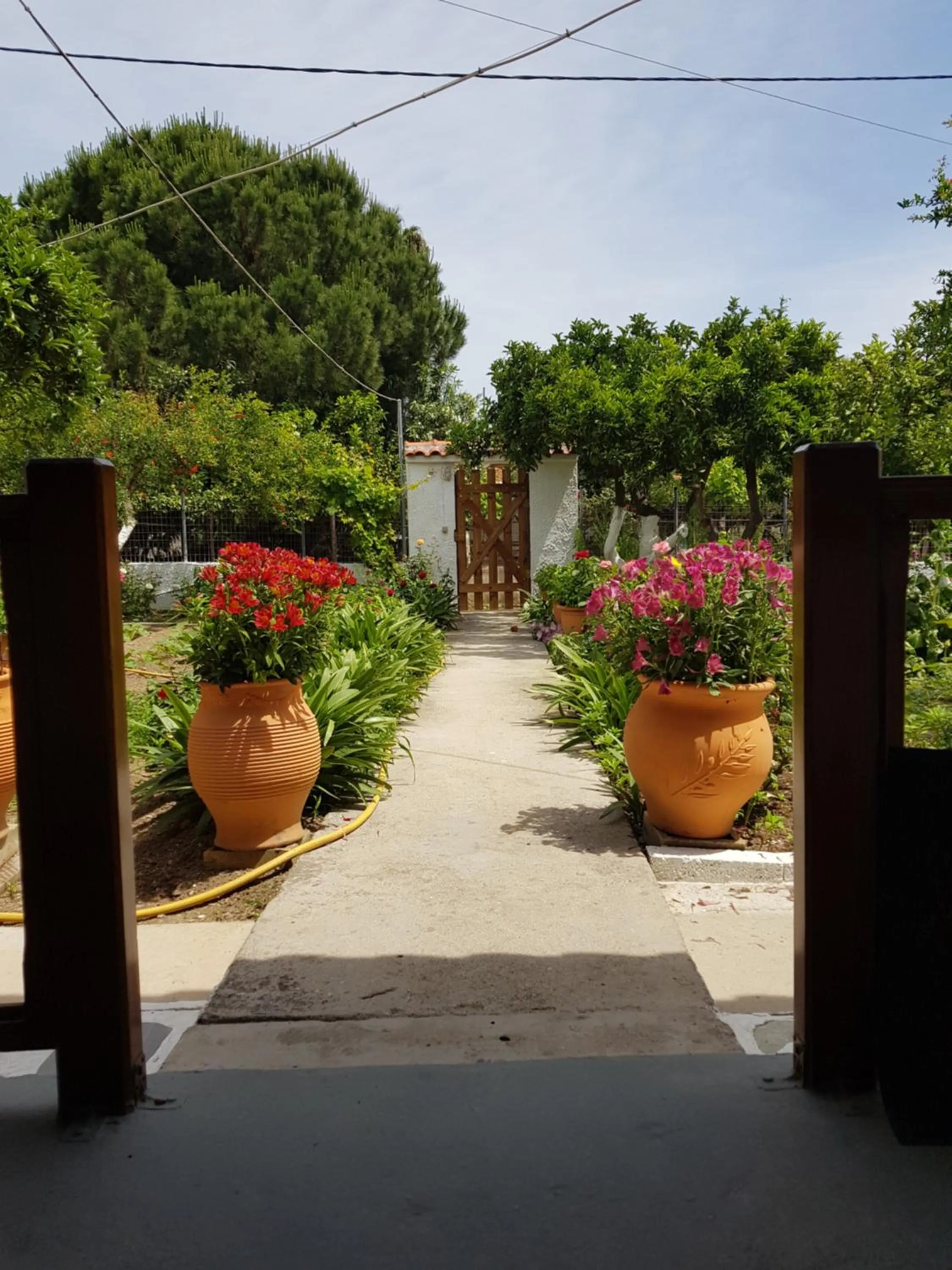 Facade/entrance in Asimina's House