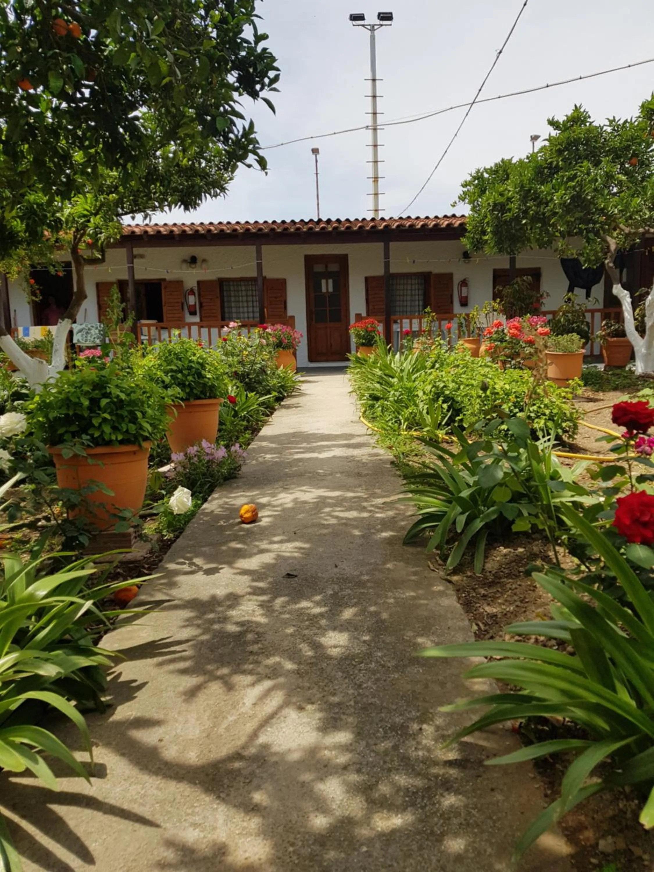 Facade/entrance in Asimina's House