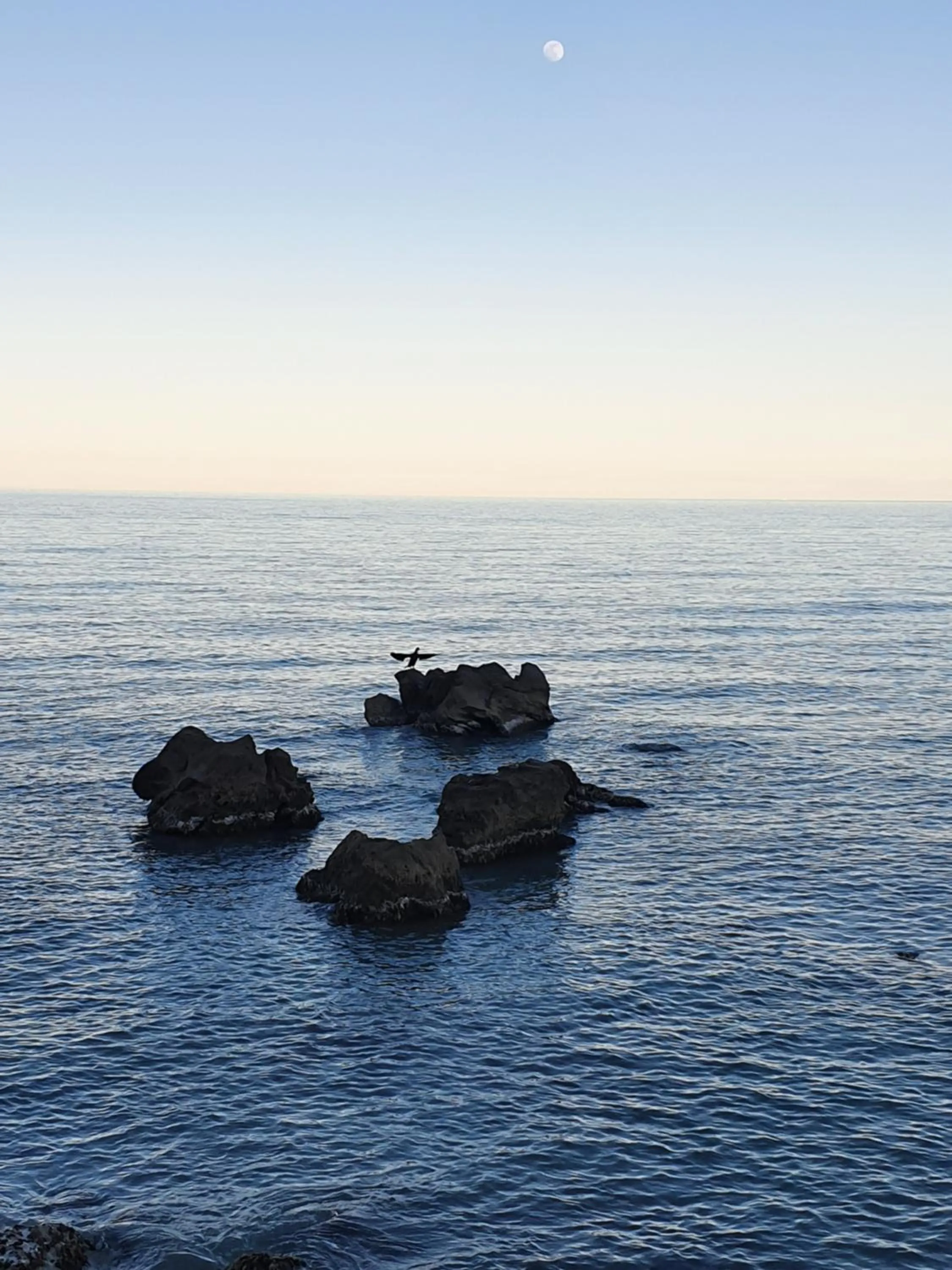 Natural landscape in Hotel Cormorano