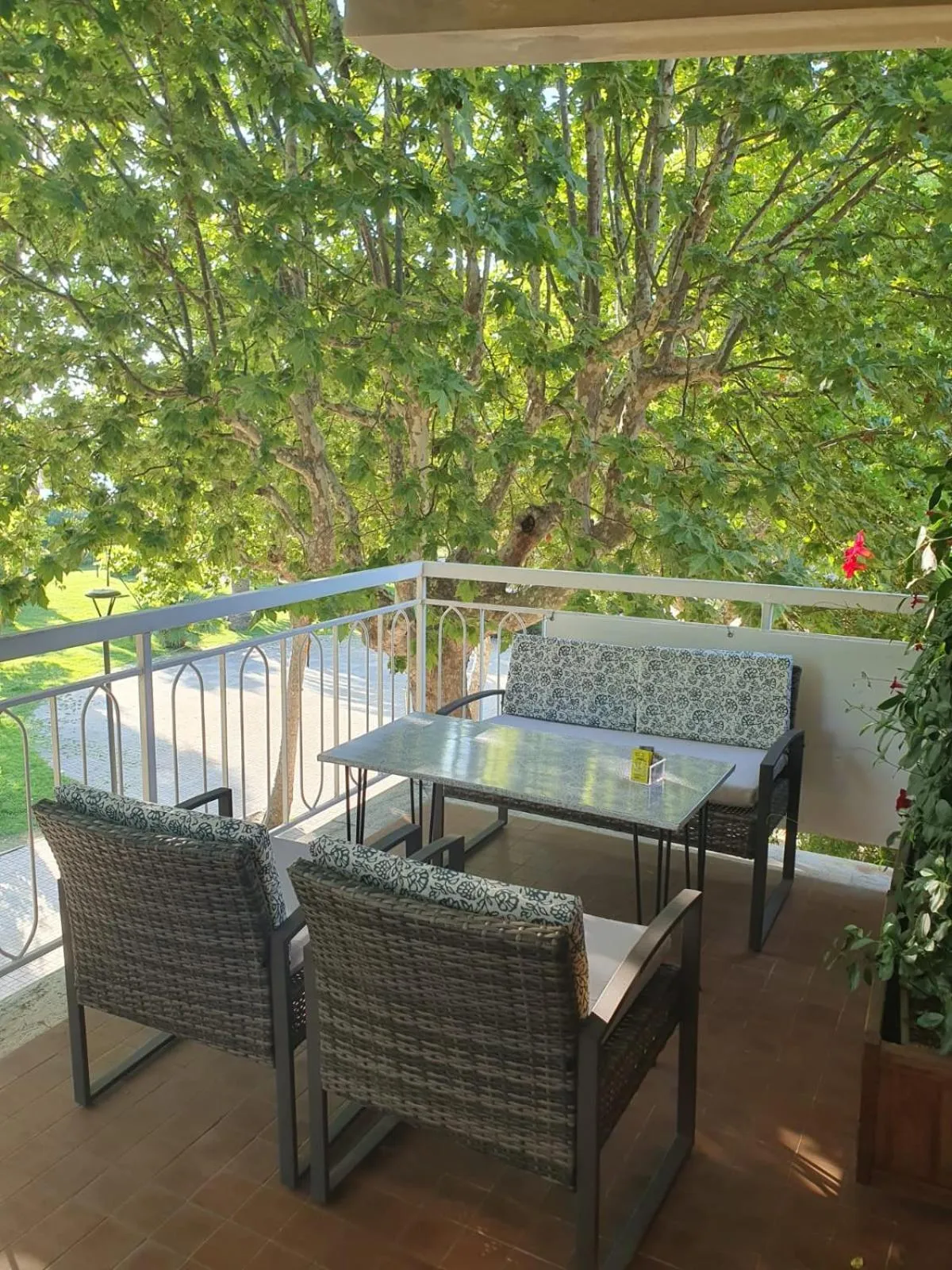 Balcony/Terrace in Hotel Cormorano