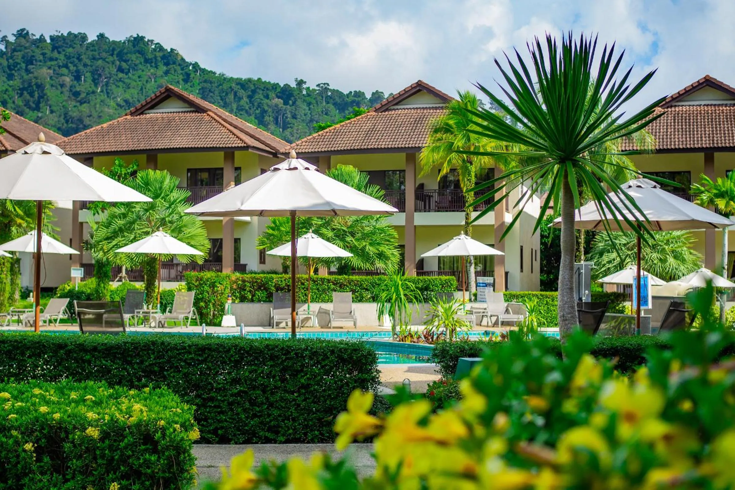 Swimming pool in The Leaf Oceanside by Katathani - SHA Extra Plus