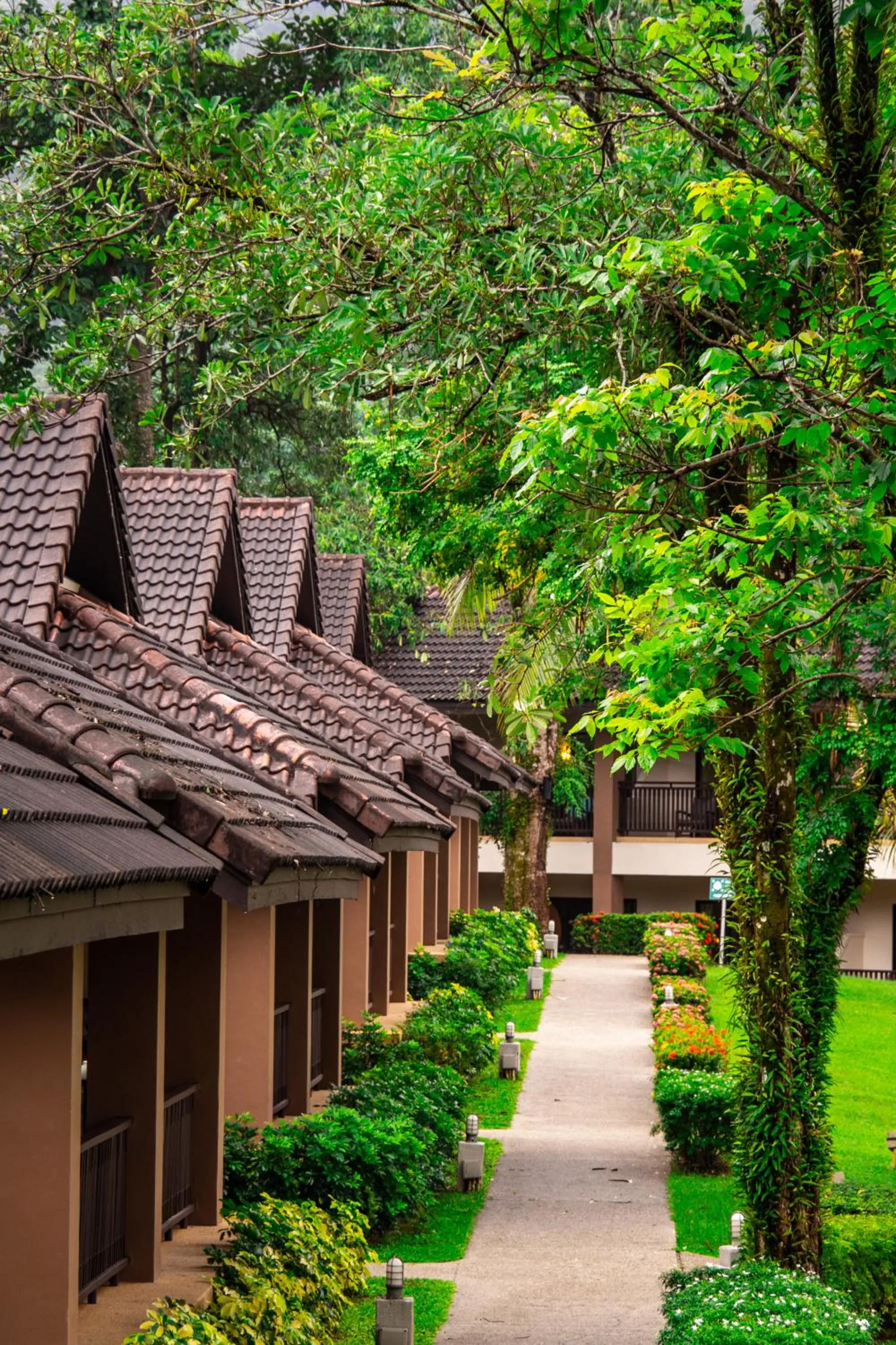 Property building in The Leaf Oceanside by Katathani - SHA Extra Plus