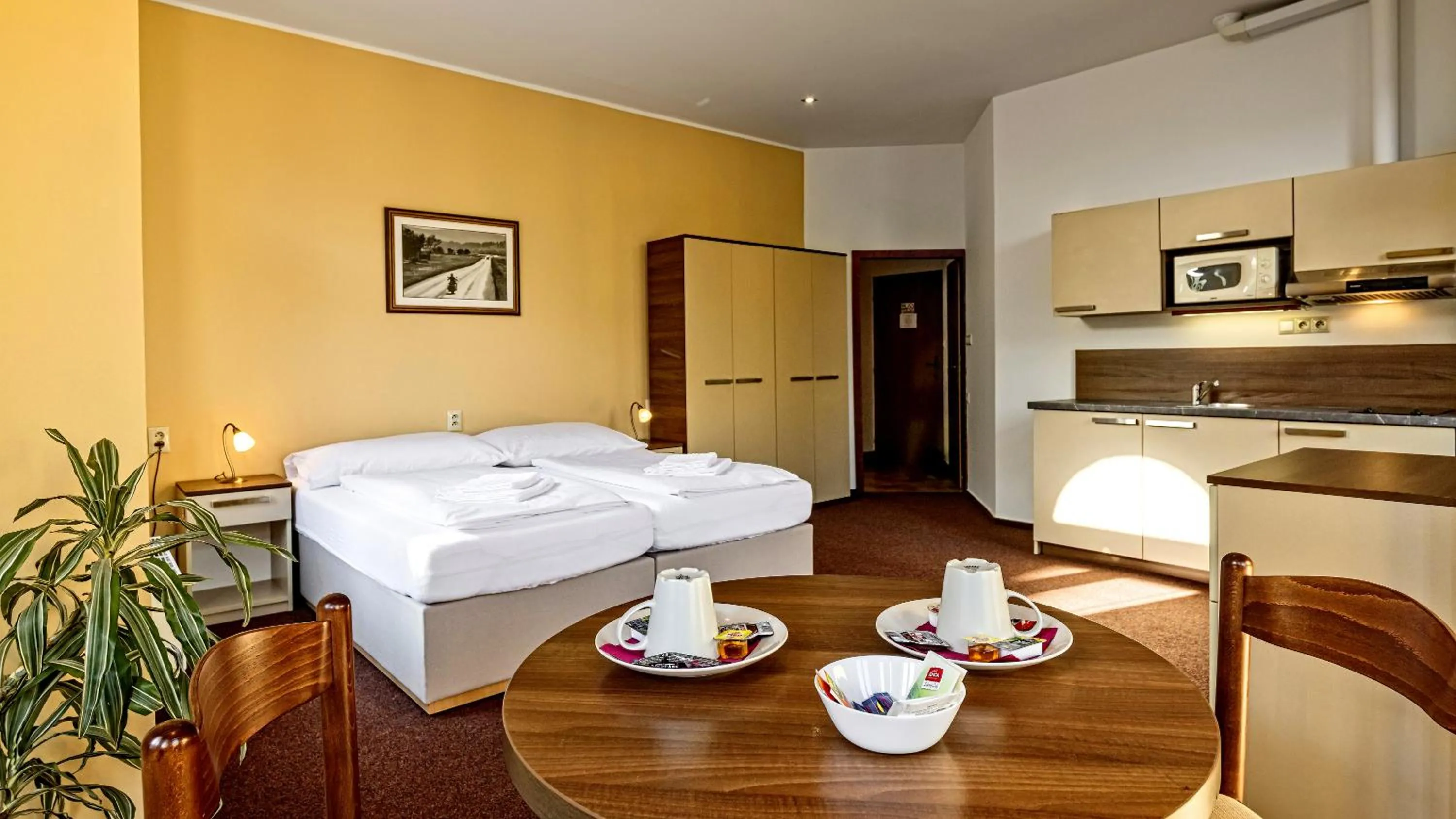 Double or Twin Room in Penzion Dvořákova