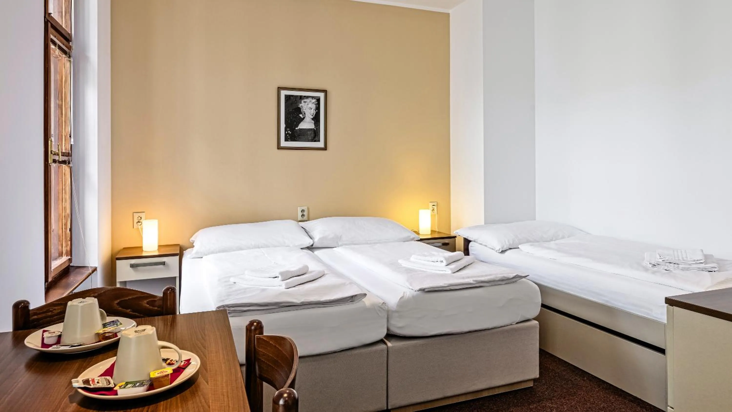 Triple Room in Penzion Dvořákova