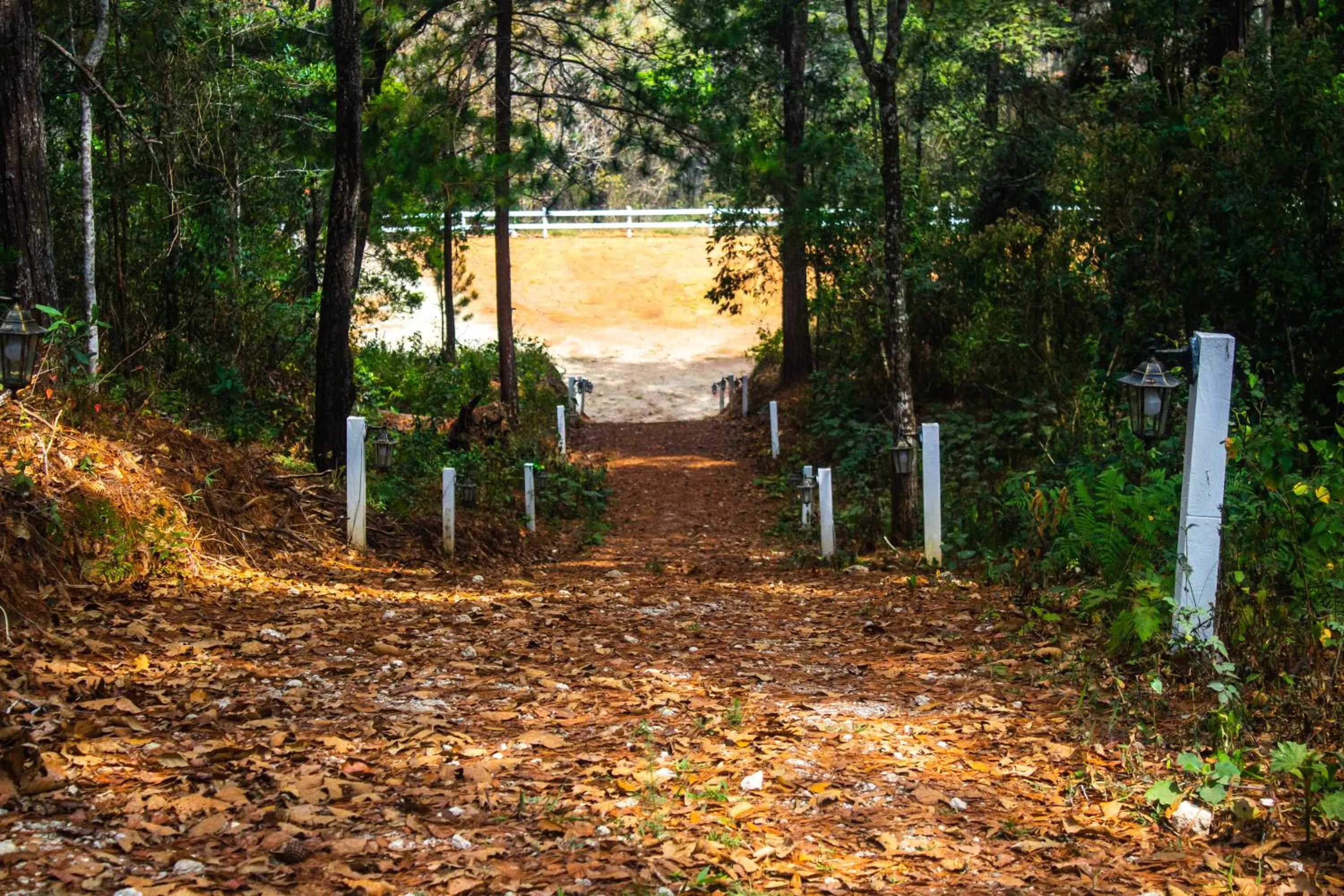 Natural landscape in Hotel Huella Lenca
