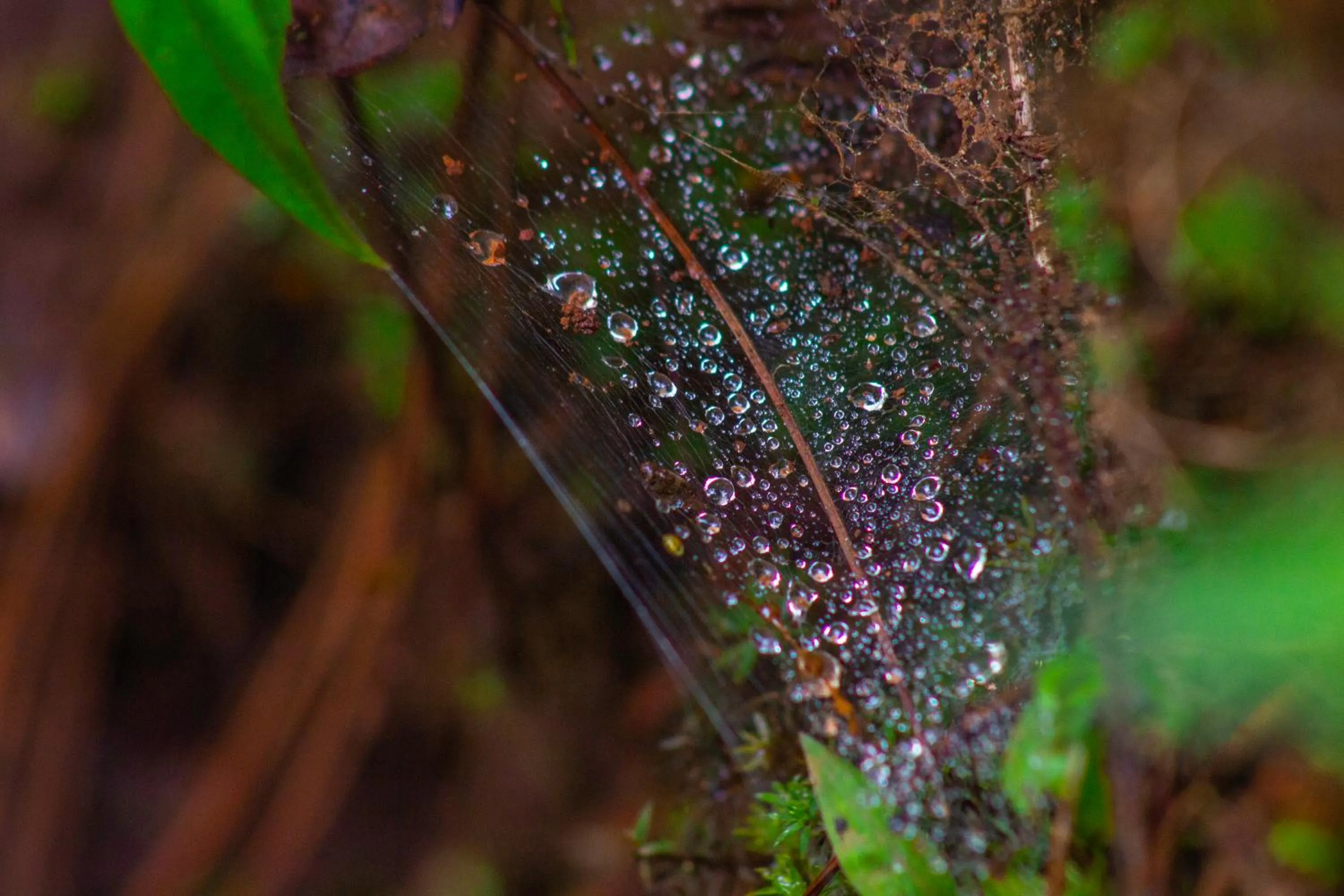 Hiking in Hotel Huella Lenca