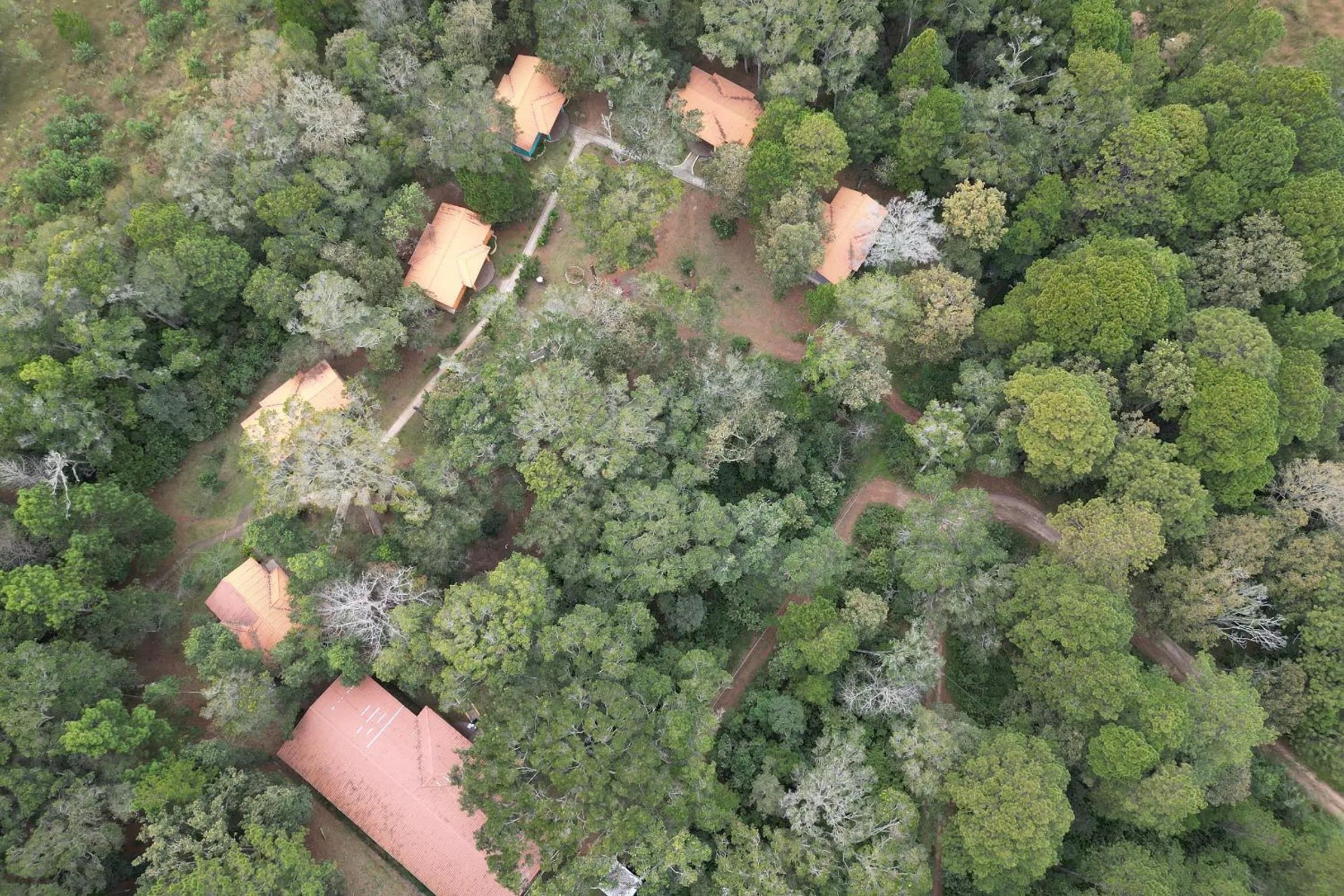 Property building in Hotel Huella Lenca