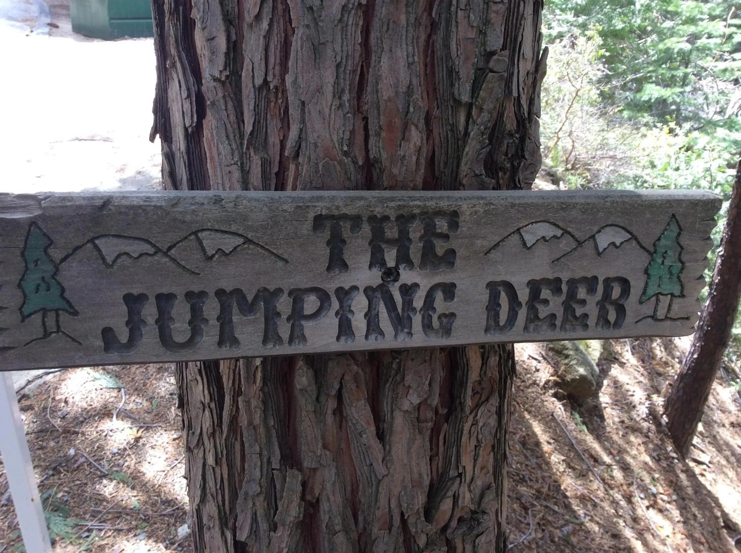 Jumping Deer