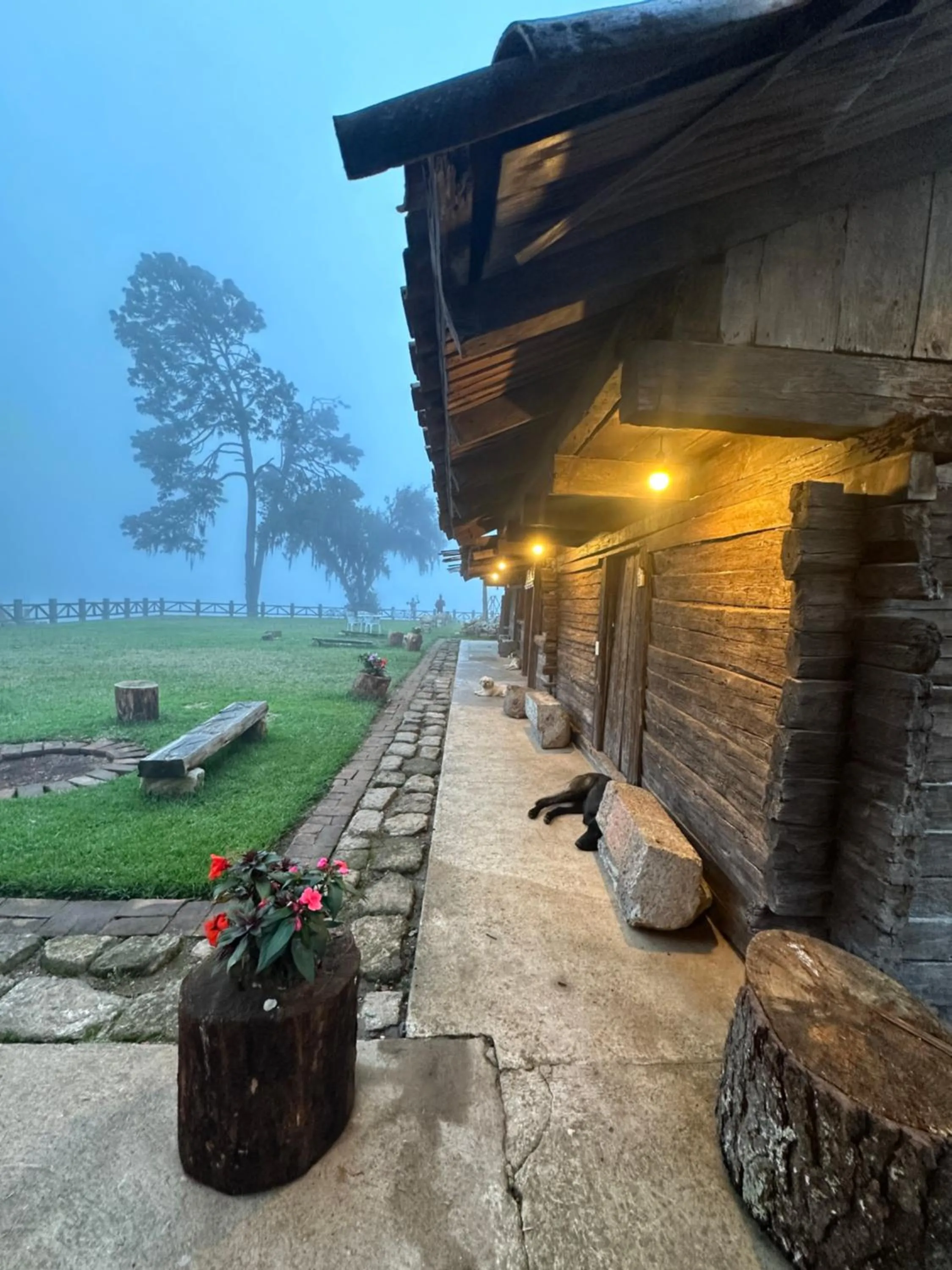 Garden view in Cabañas Del Valle