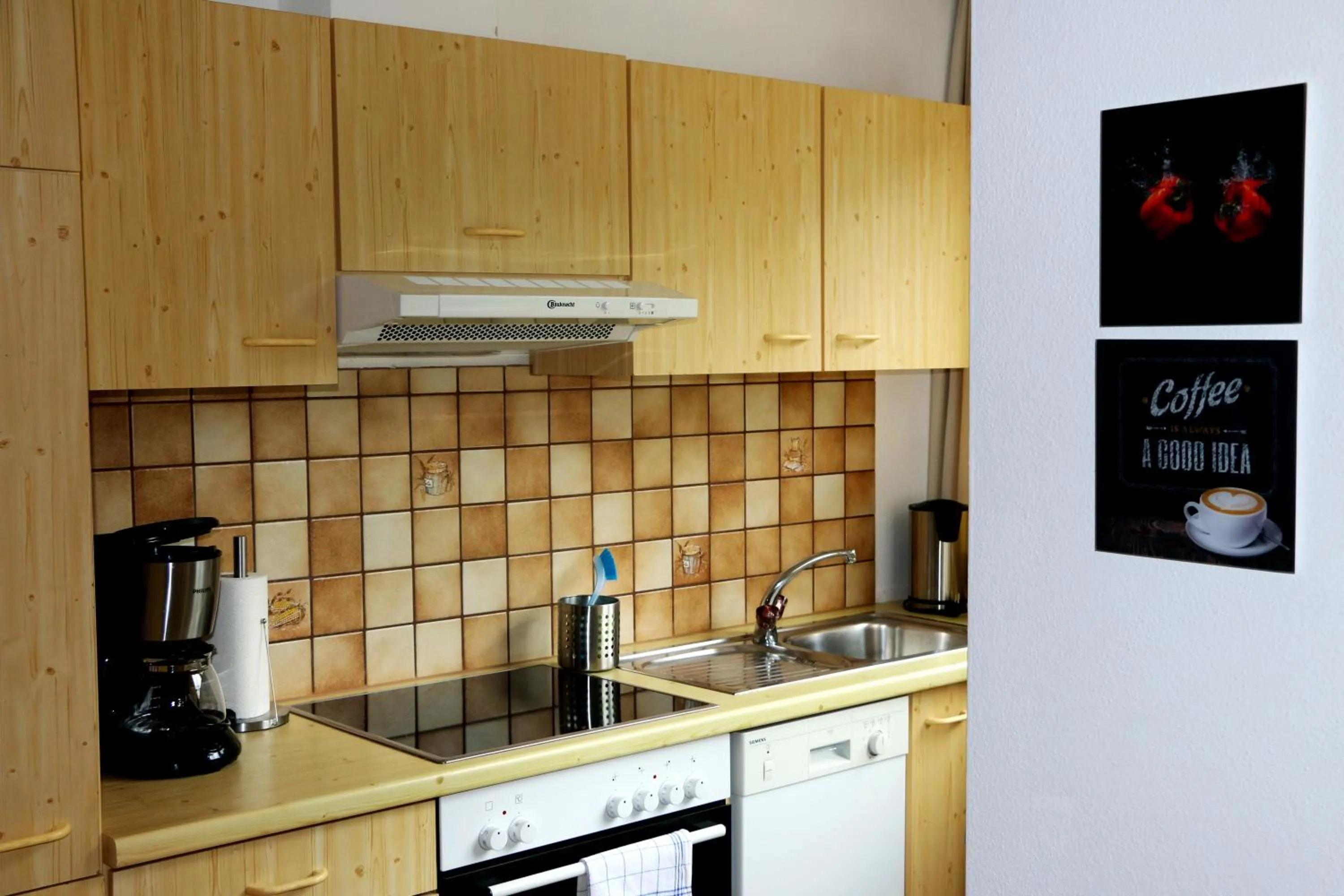 Kitchen or kitchenette in Aparthotel Alpin Life