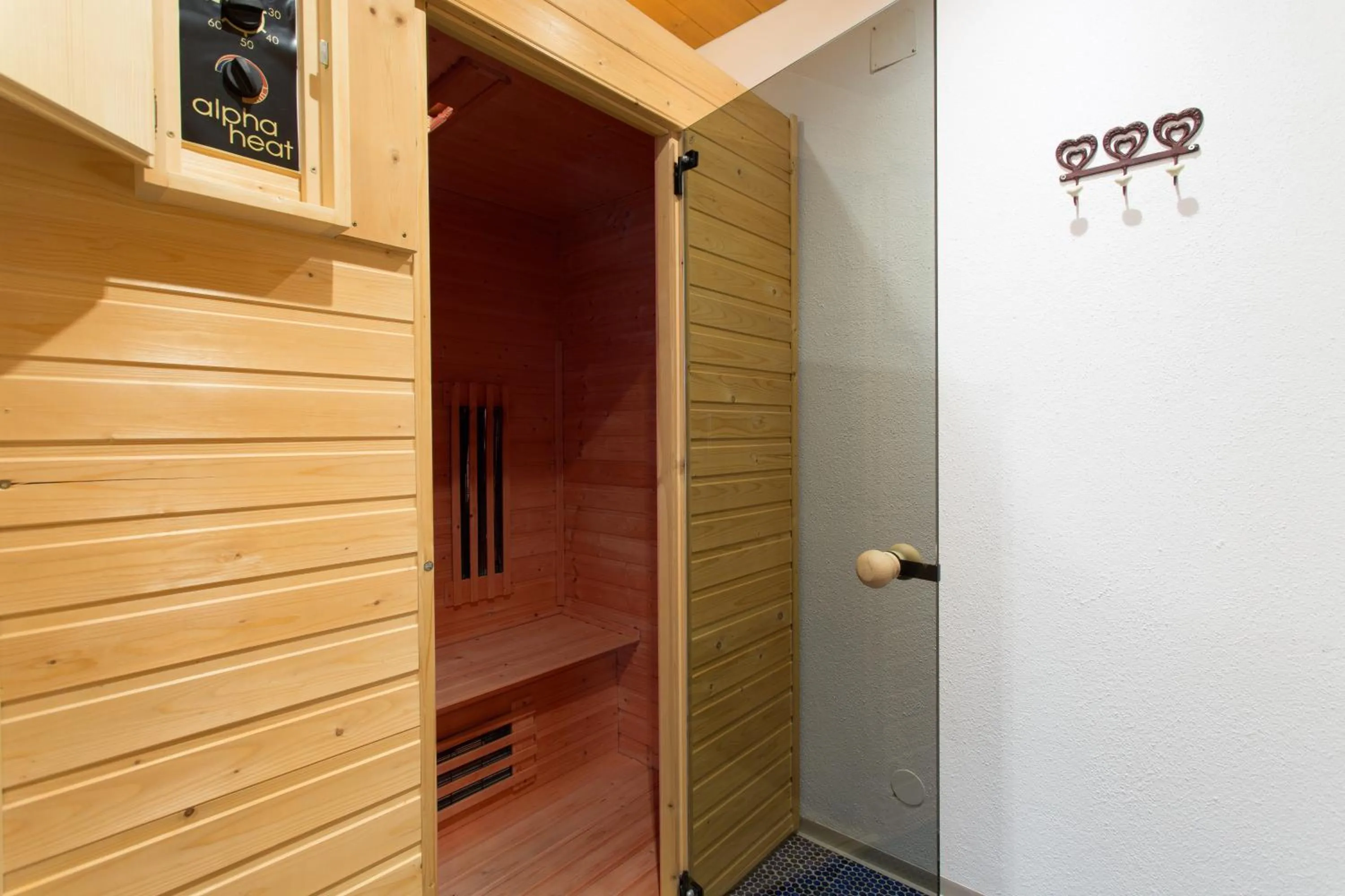 Sauna in Aparthotel Alpin Life