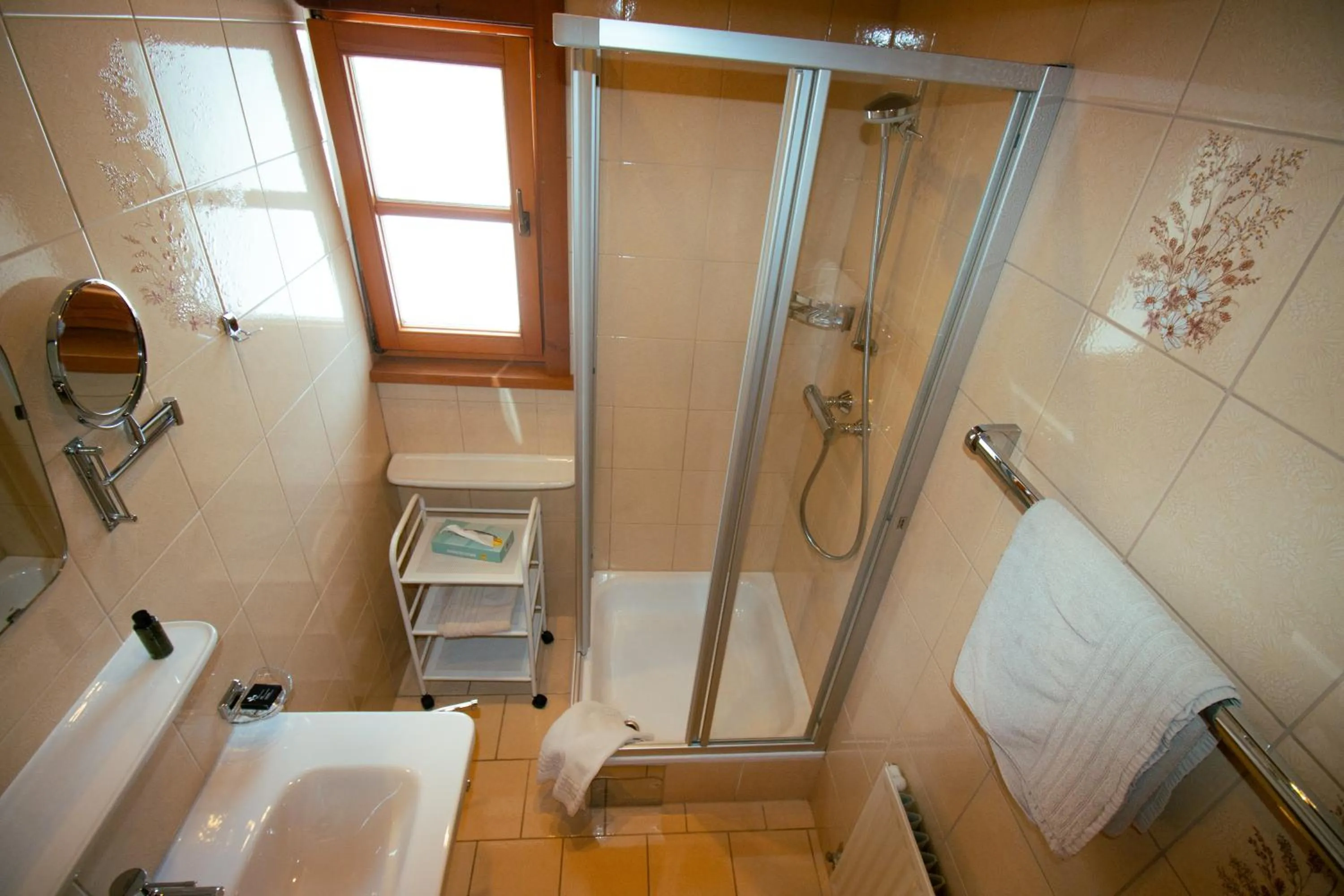 Bathroom in Aparthotel Alpin Life