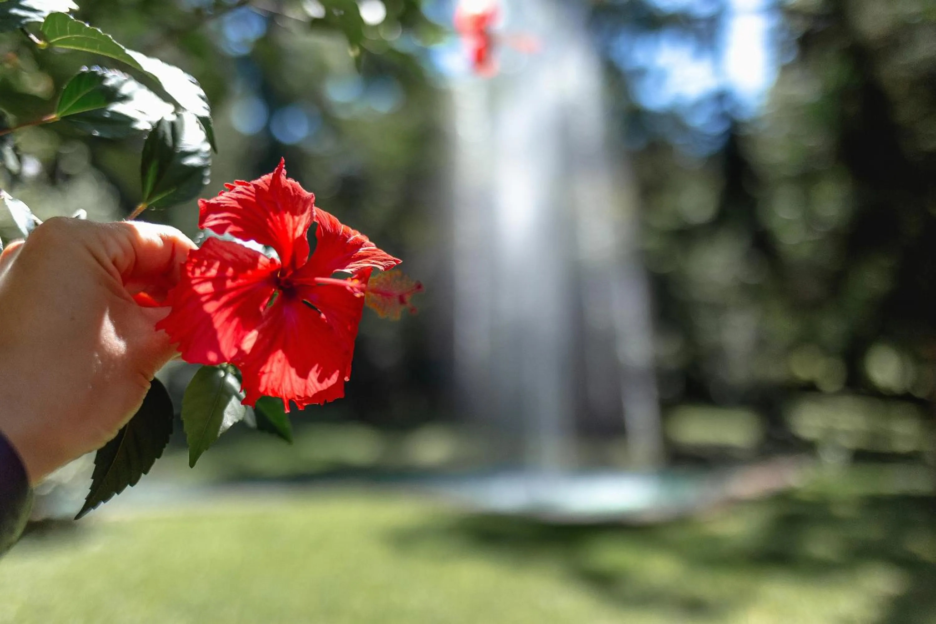 Natural landscape in Hotel Jardins da Colina