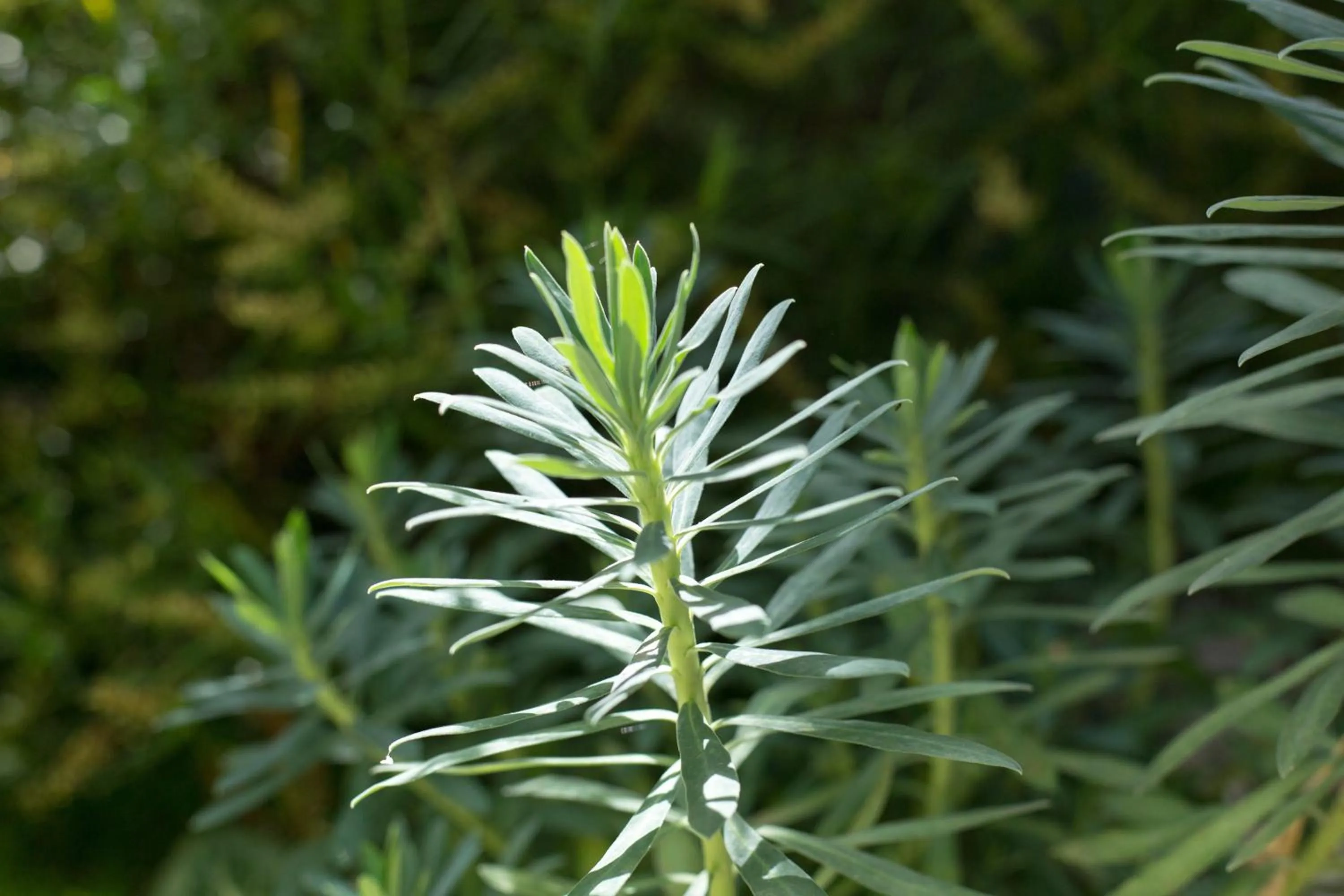 Natural landscape in MAISON KERVARREC - Rennes - Saint-Grégoire