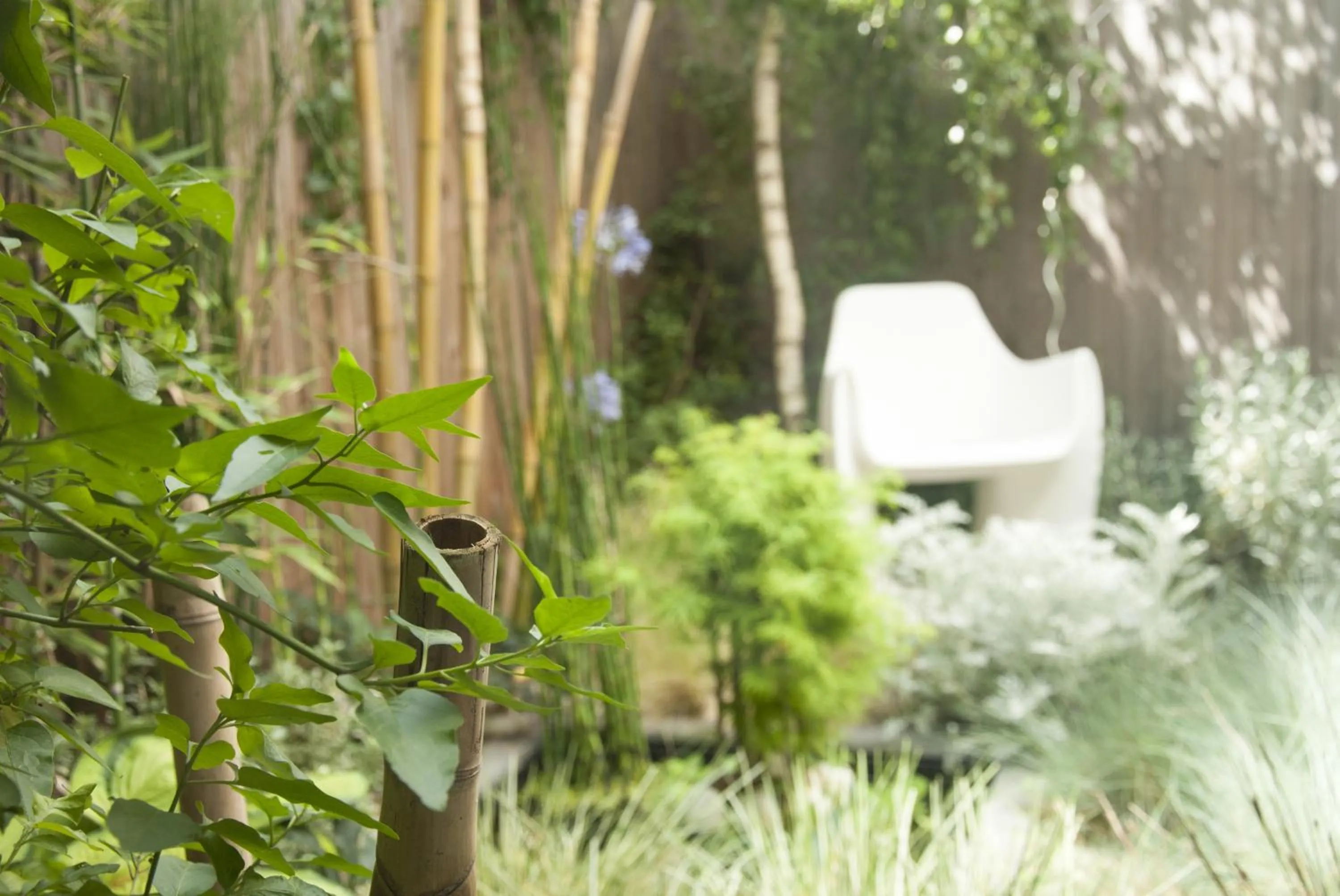 Patio in MAISON KERVARREC - Rennes - Saint-Grégoire