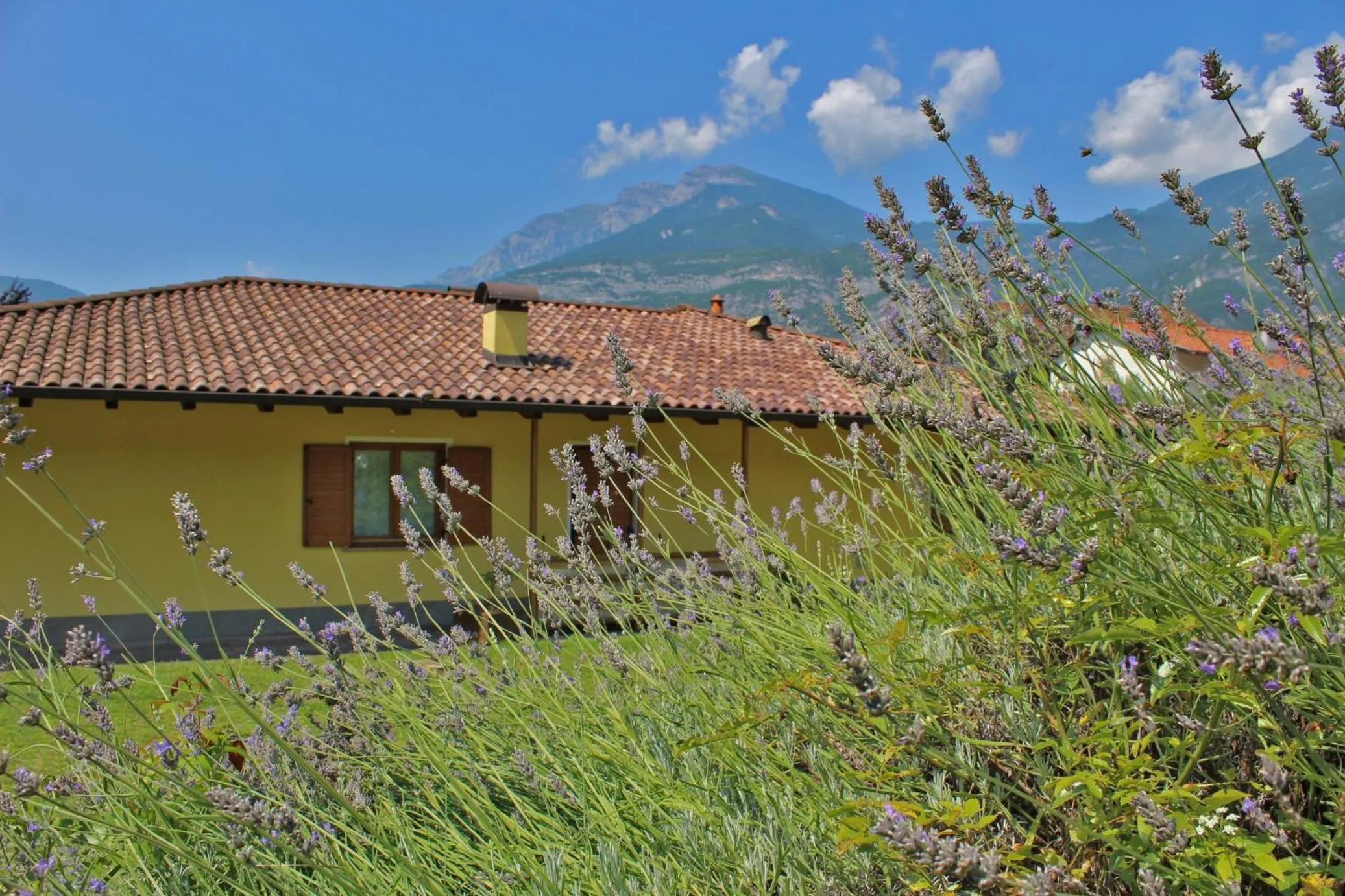 Agriturismo La Decima