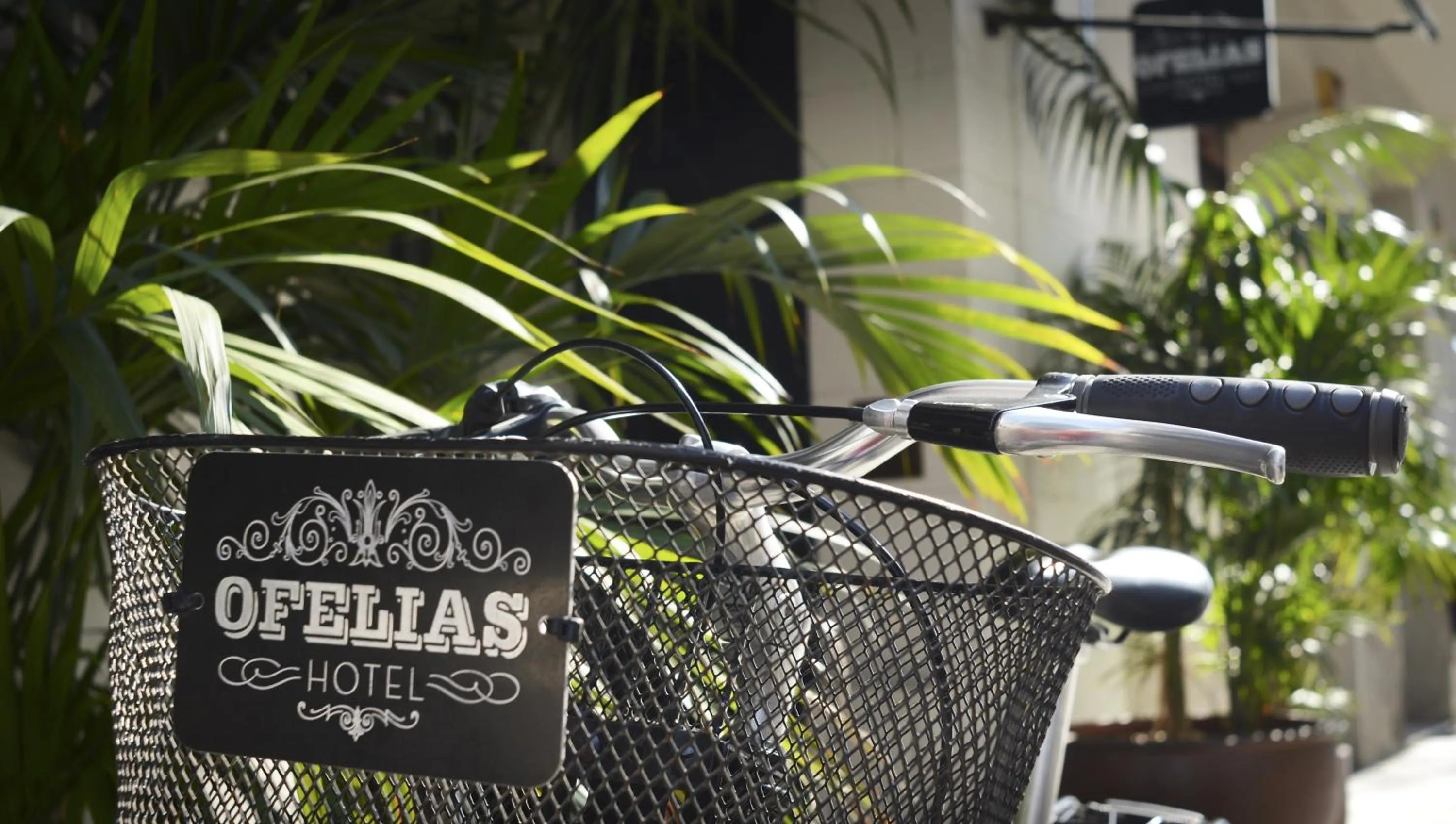 Facade/entrance in Ofelias Hotel 4Sup