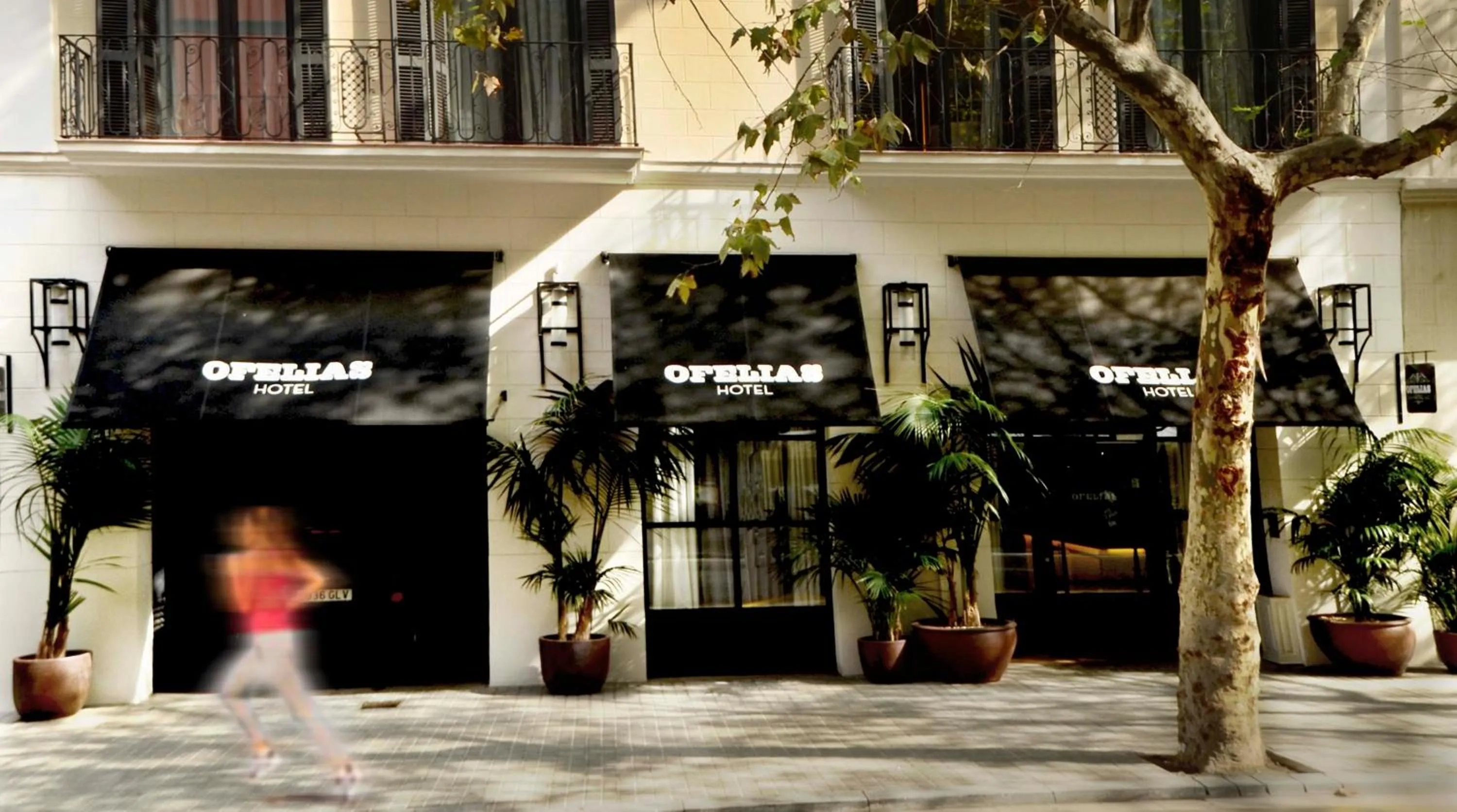 Facade/entrance in Ofelias Hotel 4Sup