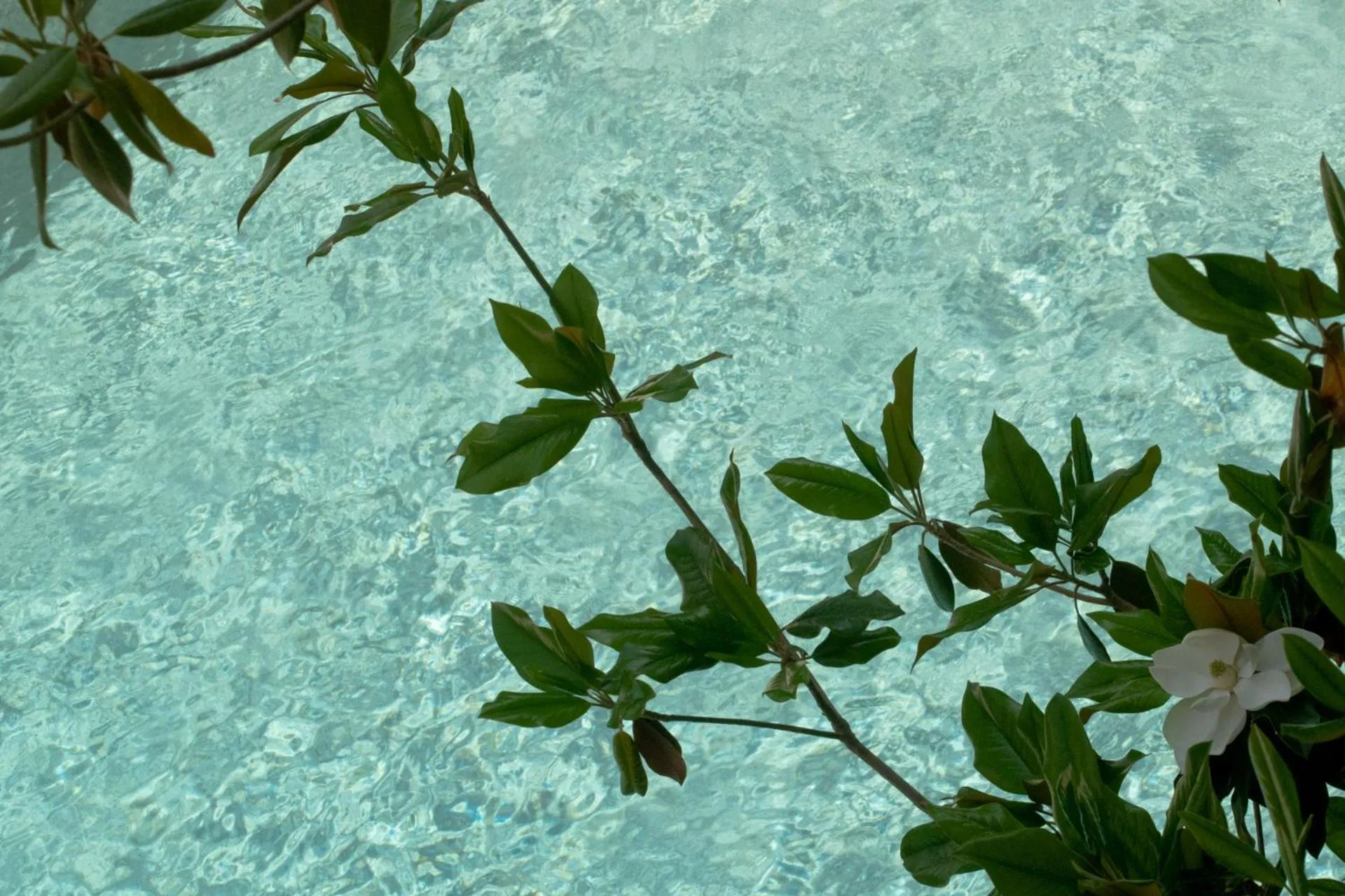 Swimming pool in Stefanakis Hotel & Apartments