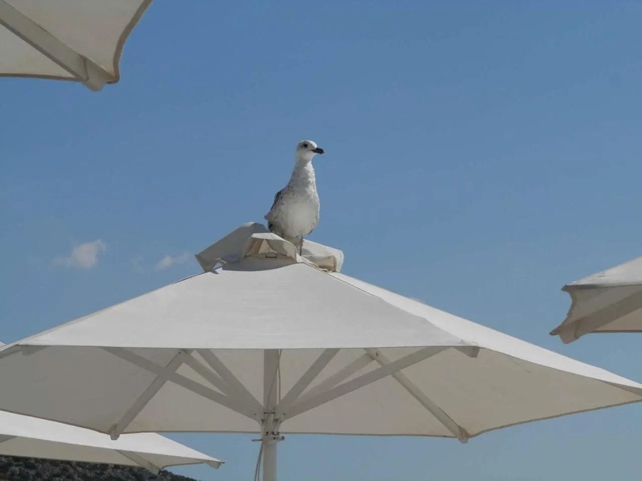 Off site in Stefanakis Hotel & Apartments