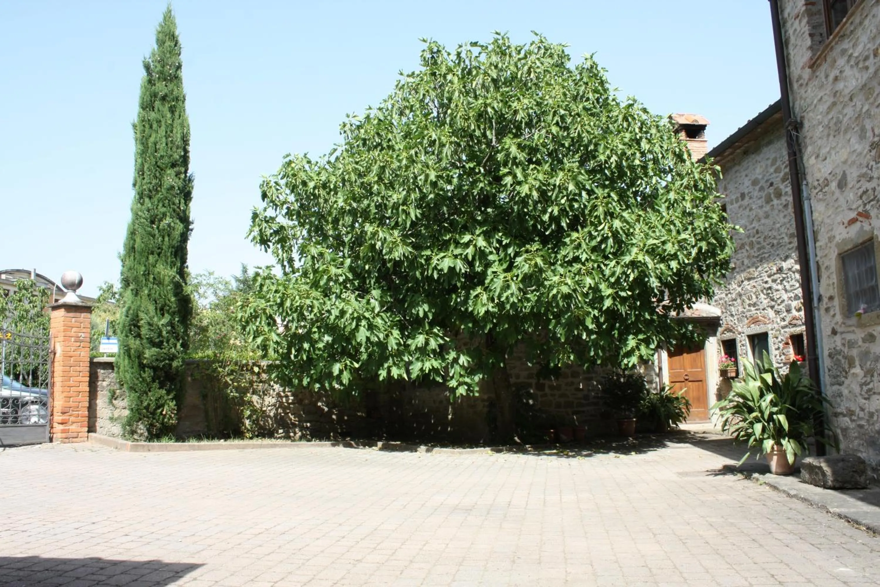 Decorative detail in Villa La Nussa