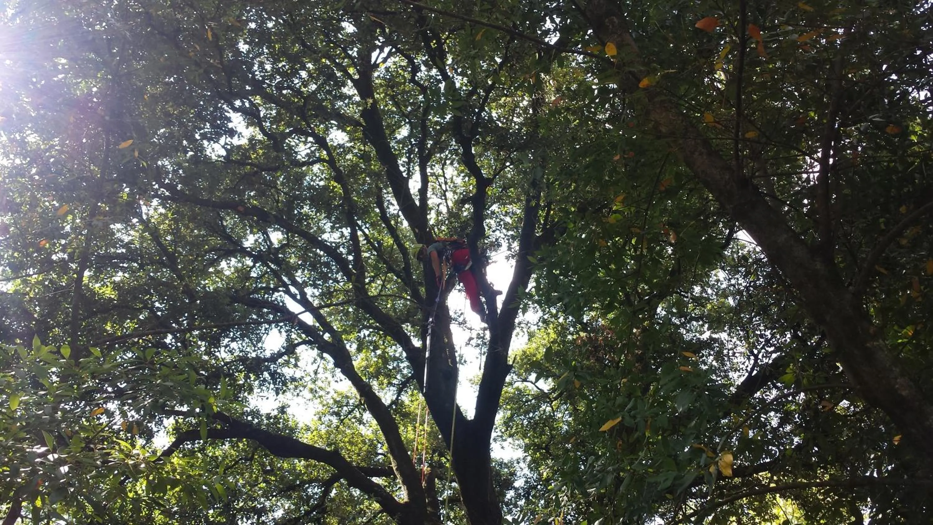 Other in Villa La Nussa