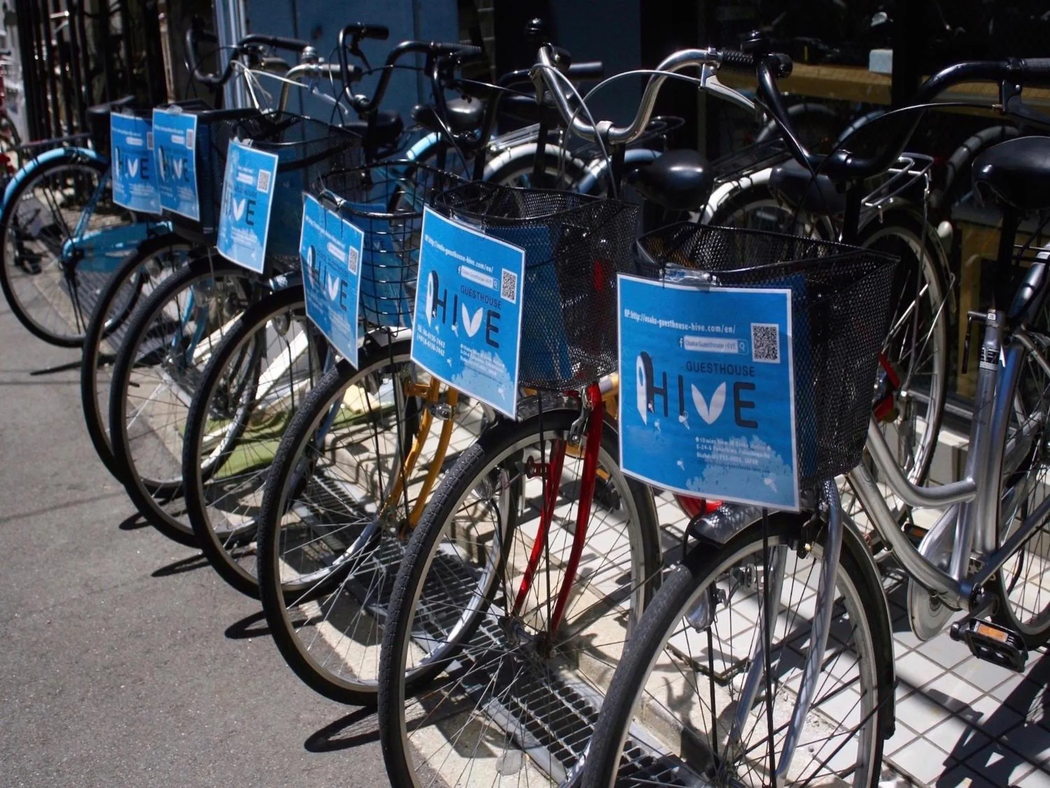 Activities in Ishigaki Guesthouse HIVE