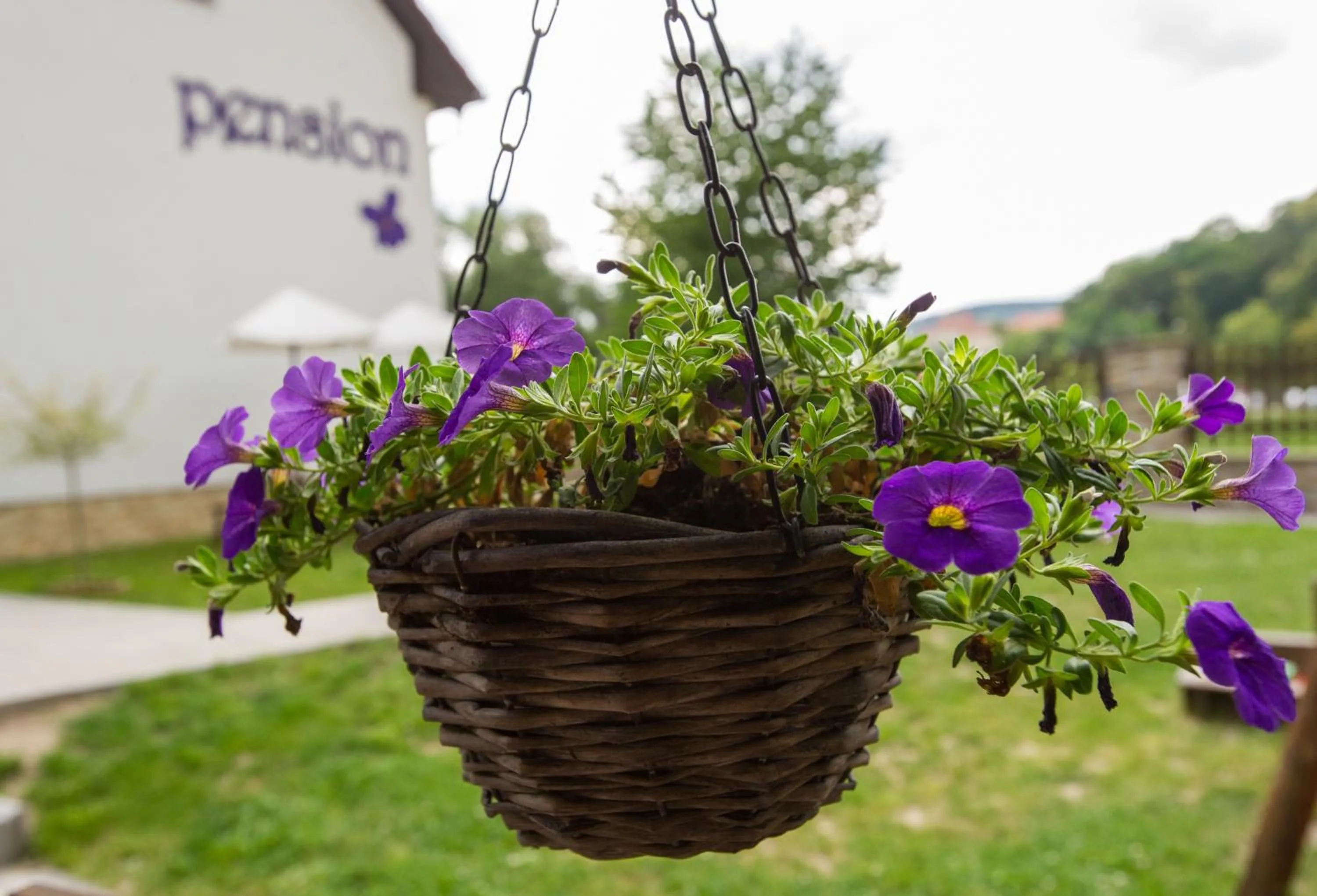 Decorative detail in Pension Fialka