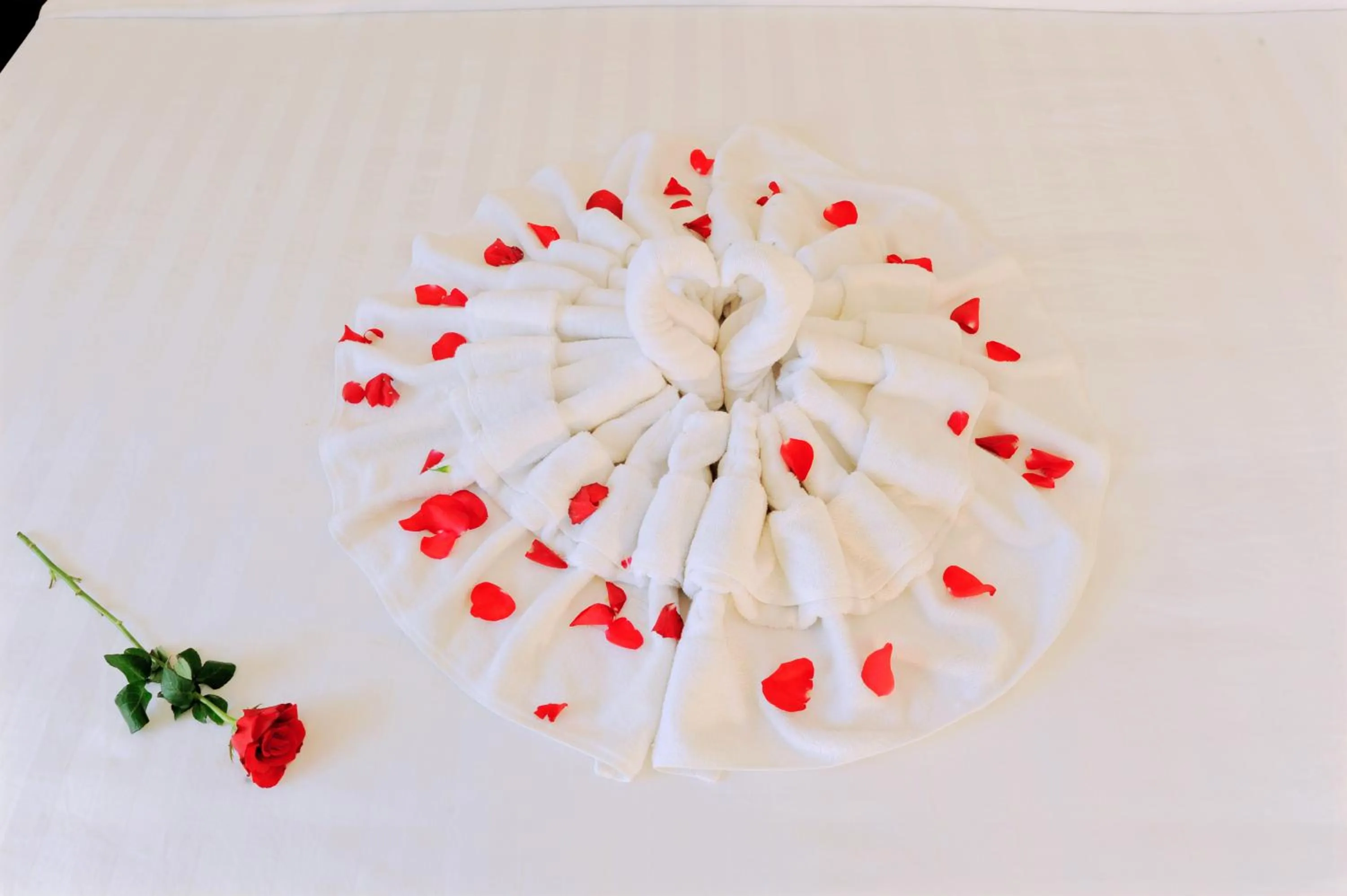 Decorative detail in Cuu Long Hotel