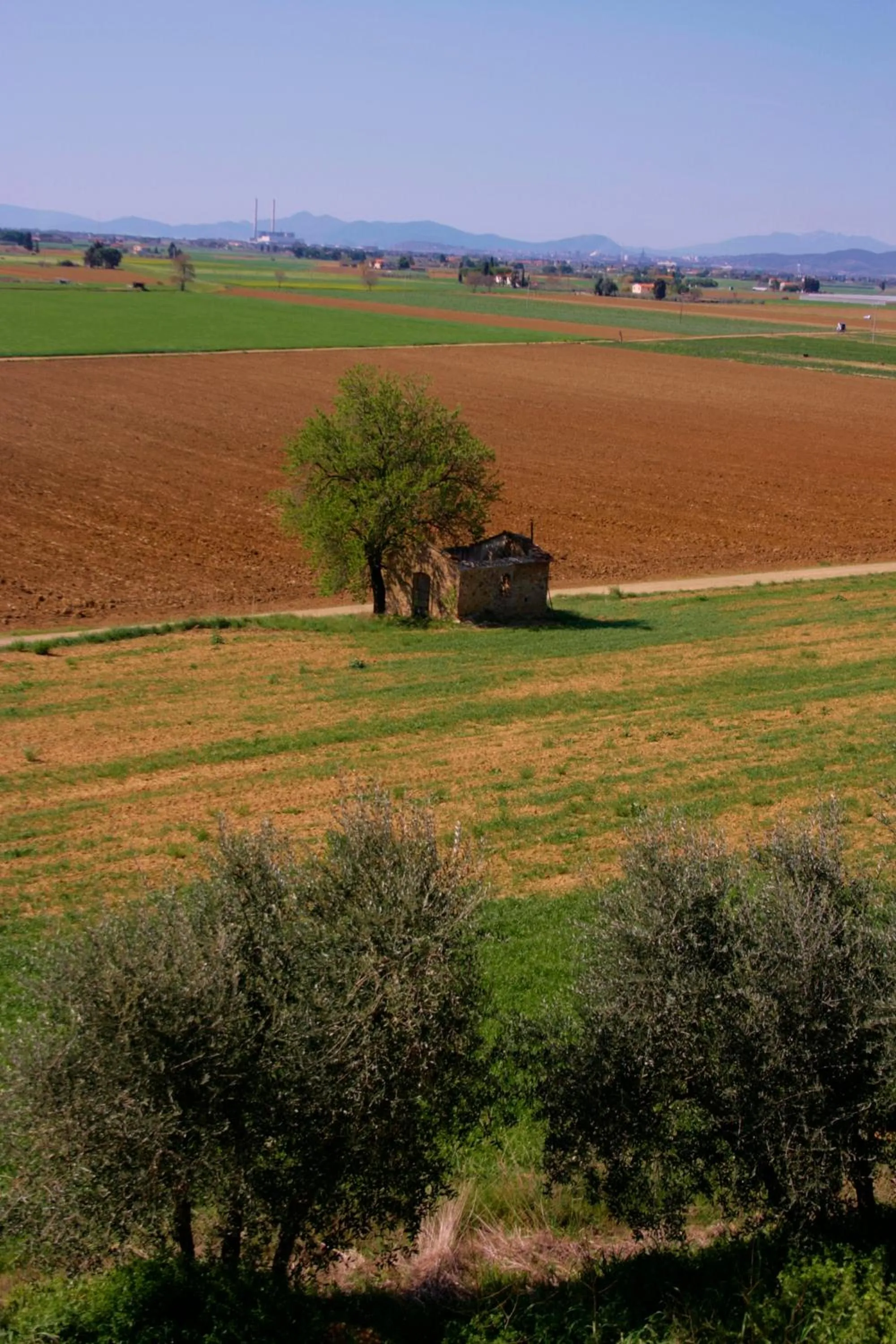 Area and facilities in Antico Borgo Casalappi