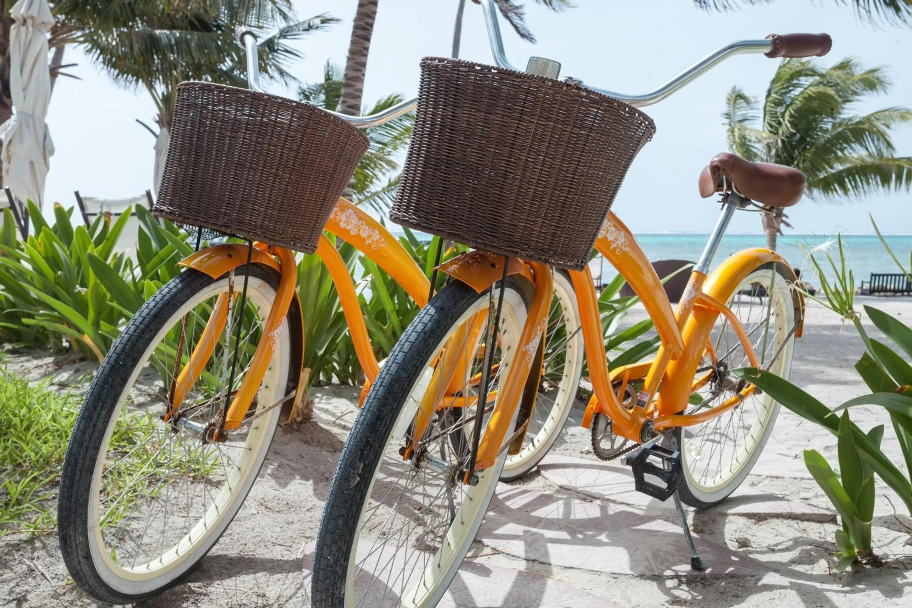 Entertainment in Las Terrazas Resort